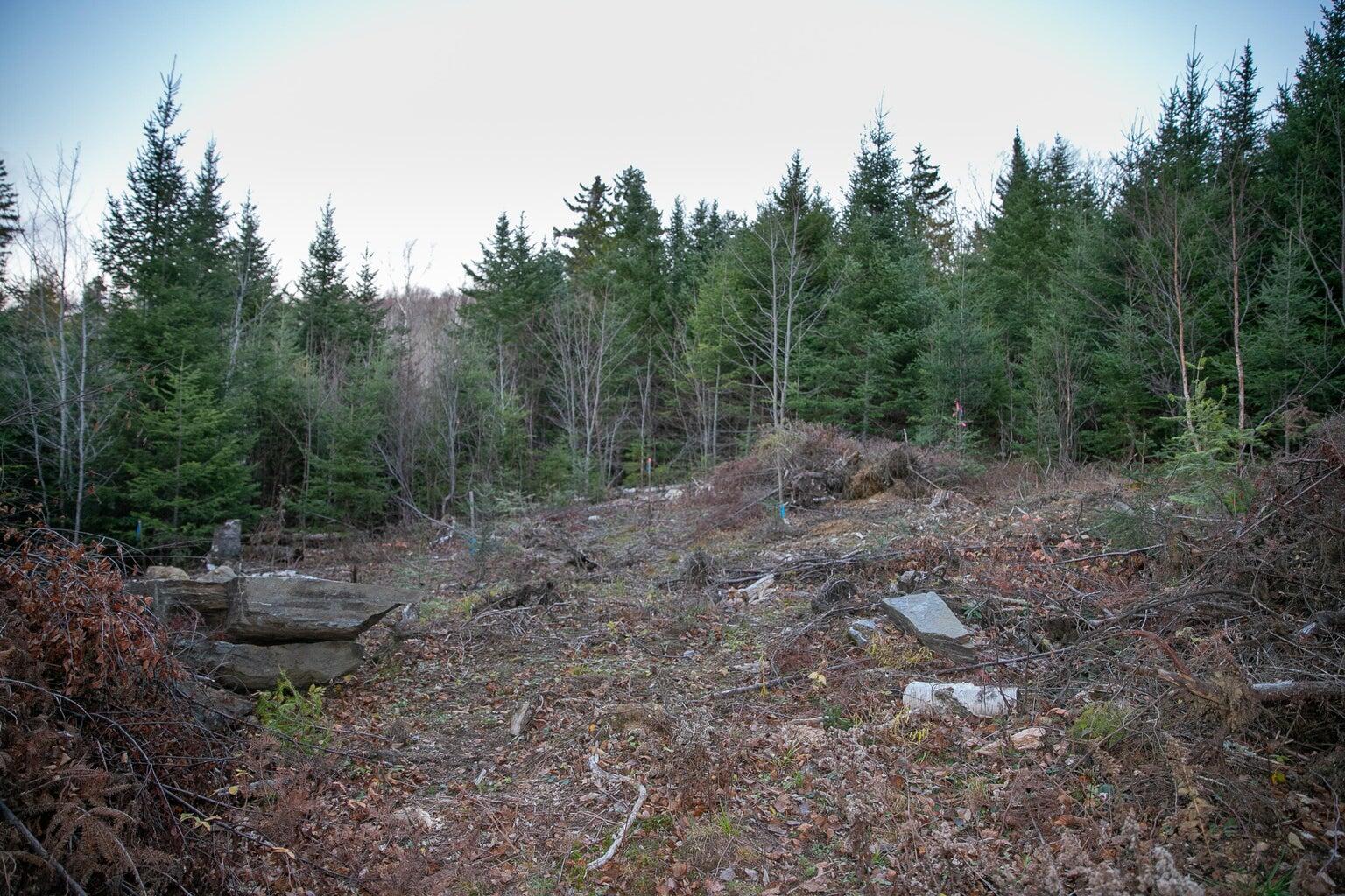 Lot 16 Mill Brook Road Property Photo 12