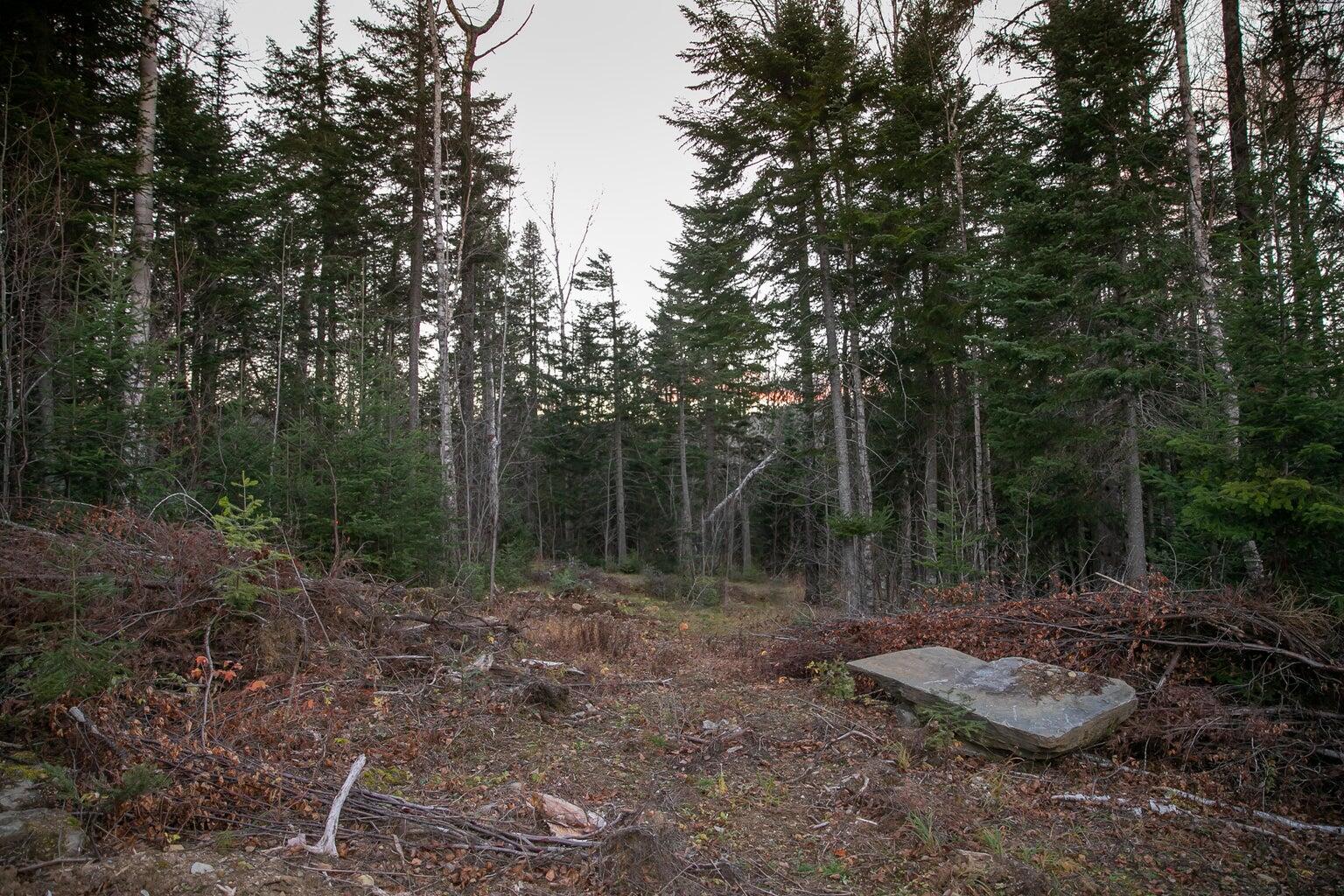Lot 16 Mill Brook Road Property Photo 13