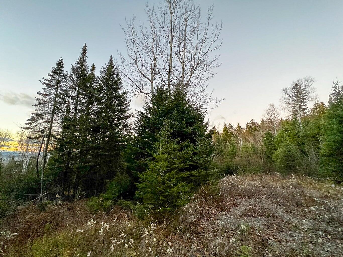 Lot 16 Mill Brook Road Property Photo 14