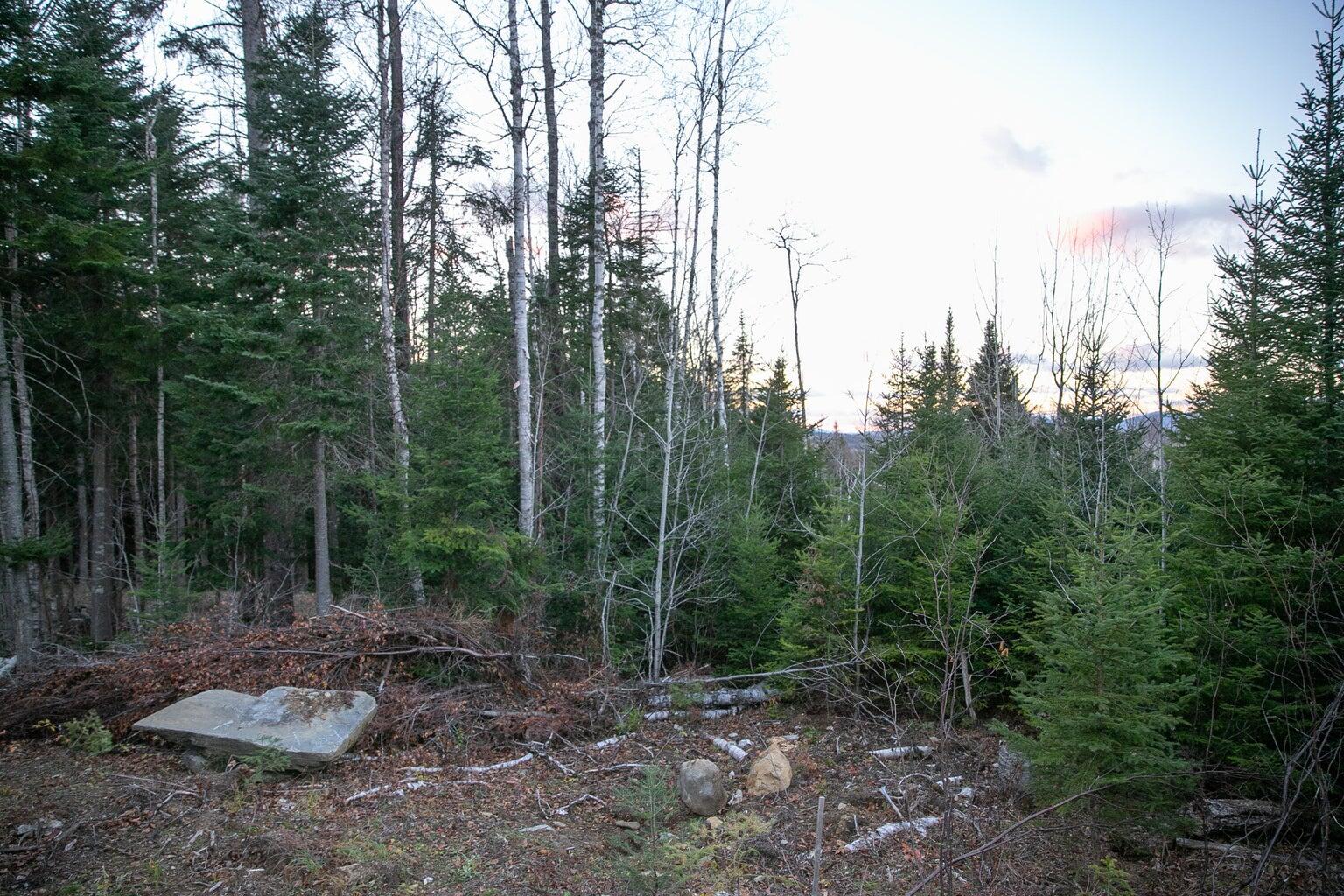 Lot 16 Mill Brook Road Property Photo 15