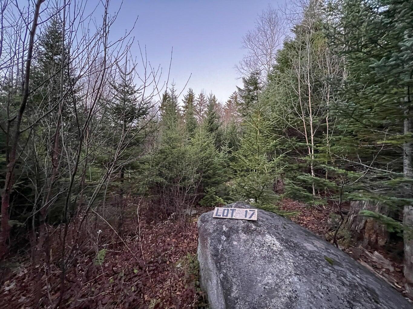 Lot 16 Mill Brook Road Property Photo 16