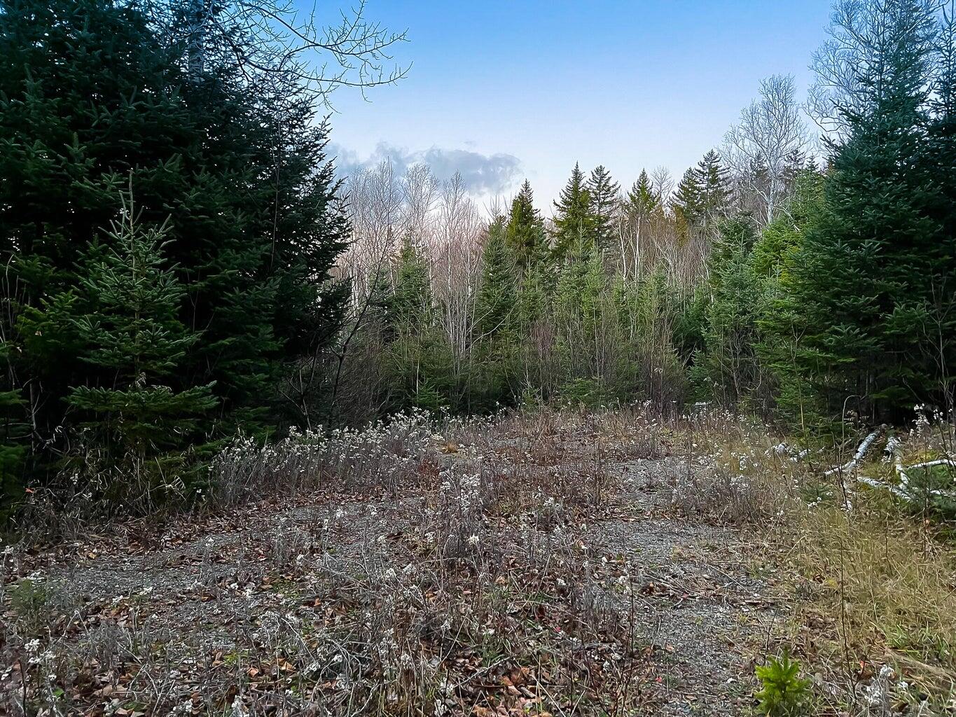Lot 16 Mill Brook Road Property Photo 17