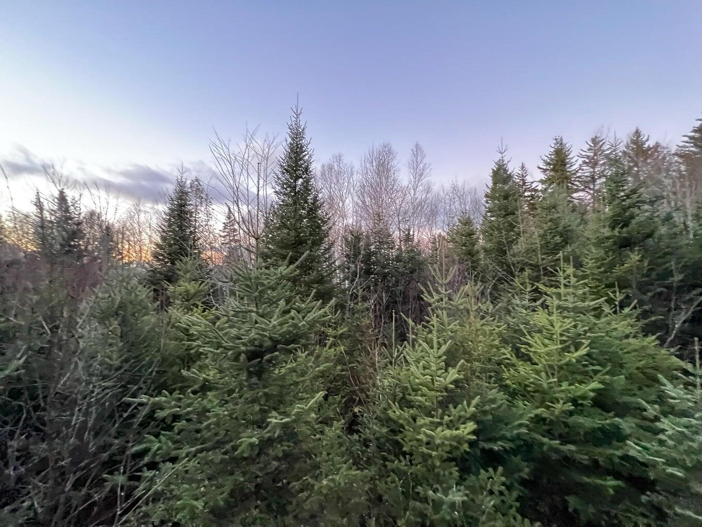 Lot 16 Mill Brook Road Property Photo 18