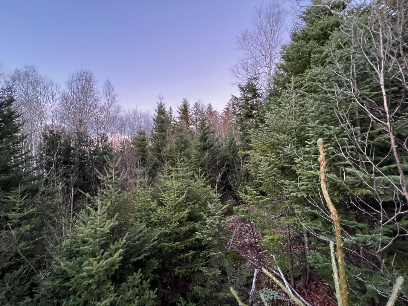 Lot 16 Mill Brook Road Property Photo 19