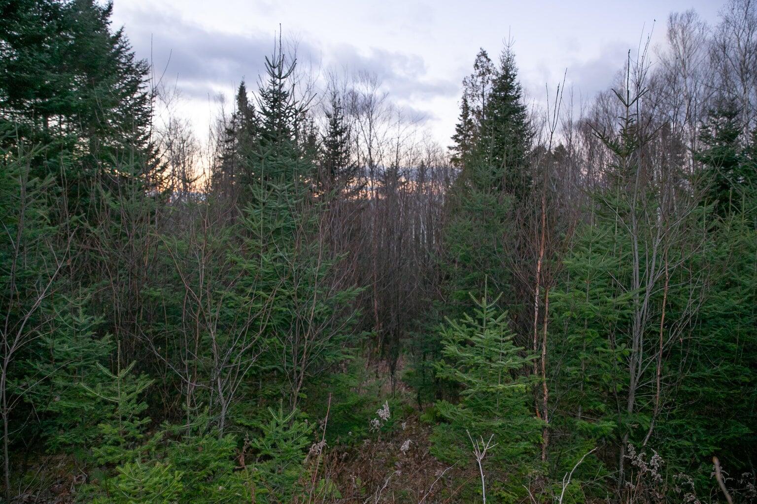 Lot 16 Mill Brook Road Property Photo 21