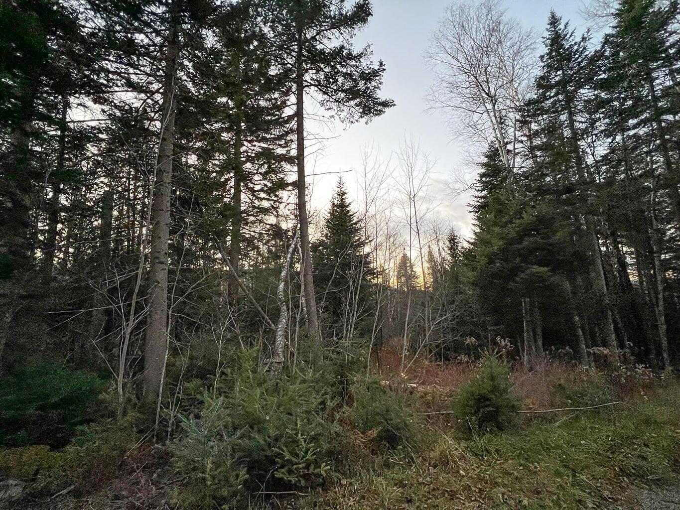 Lot 16 Mill Brook Road Property Photo 24