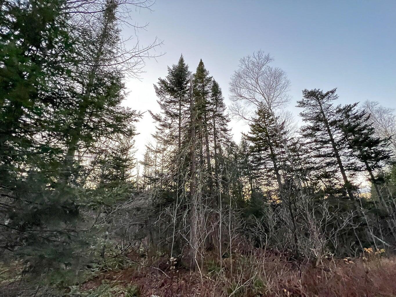 Lot 16 Mill Brook Road Property Photo 25
