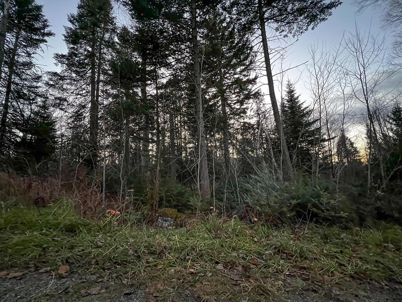 Lot 16 Mill Brook Road Property Photo 26