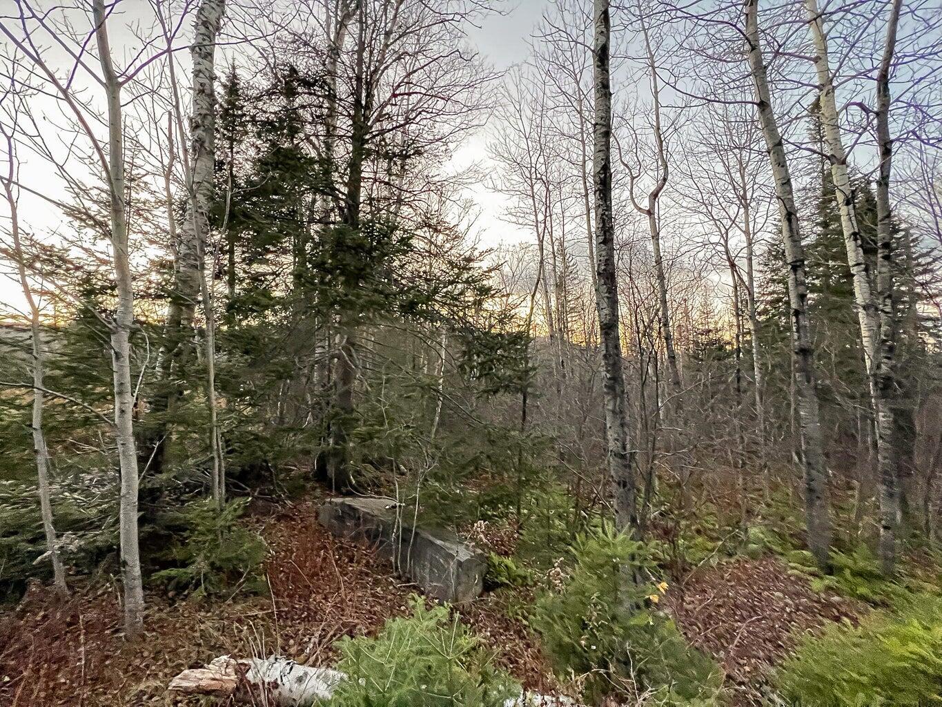 Lot 16 Mill Brook Road Property Photo 27
