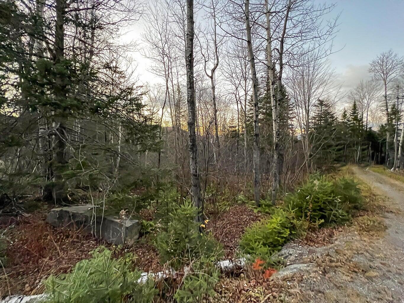 Lot 16 Mill Brook Road Property Photo 29