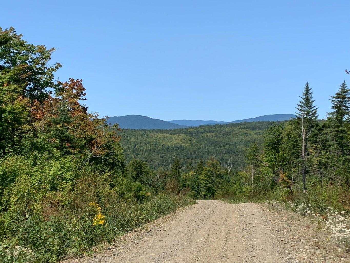 Lot 16 Mill Brook Road Property Photo 33