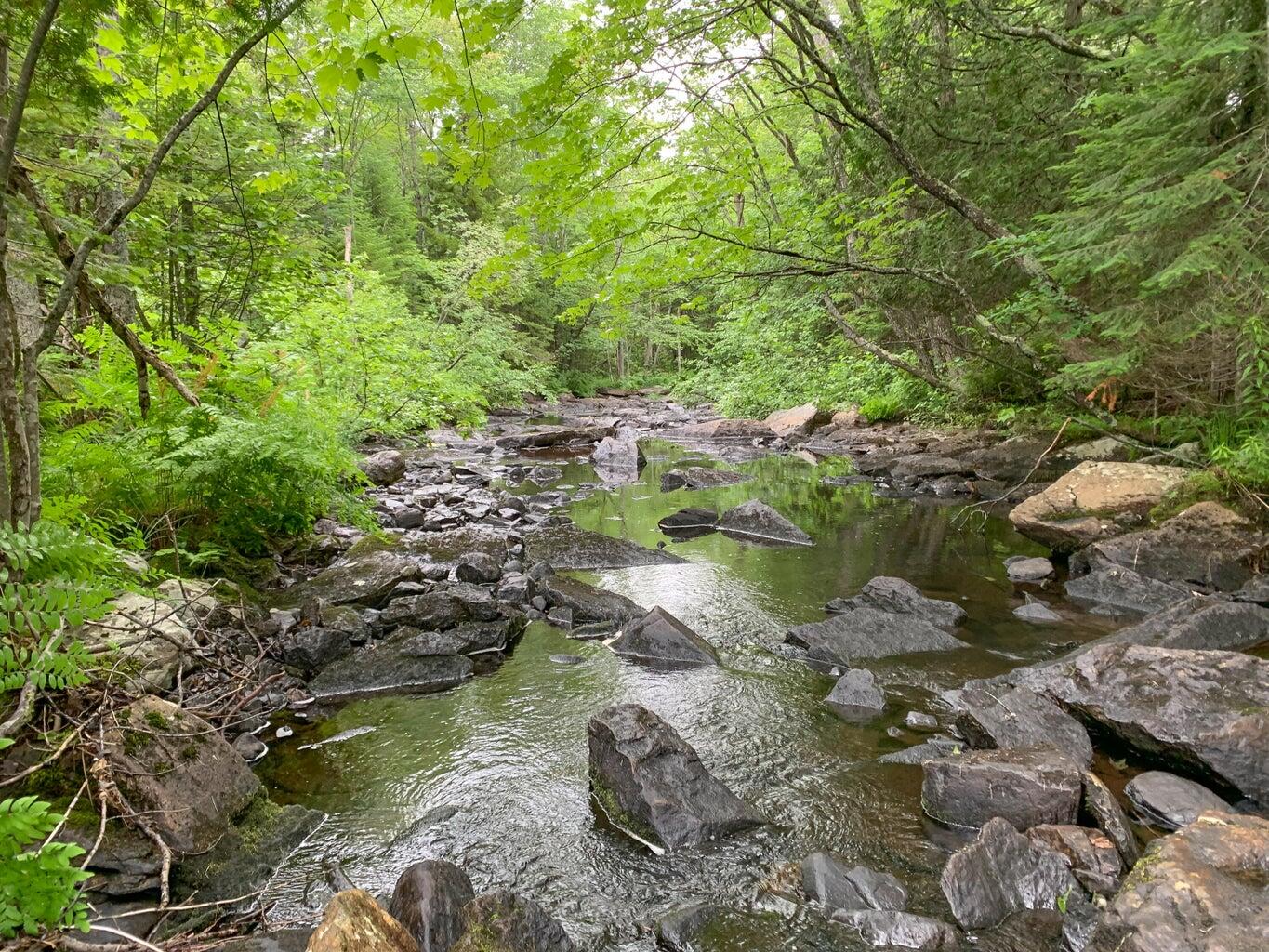 Lot 16 Mill Brook Road Property Photo 41