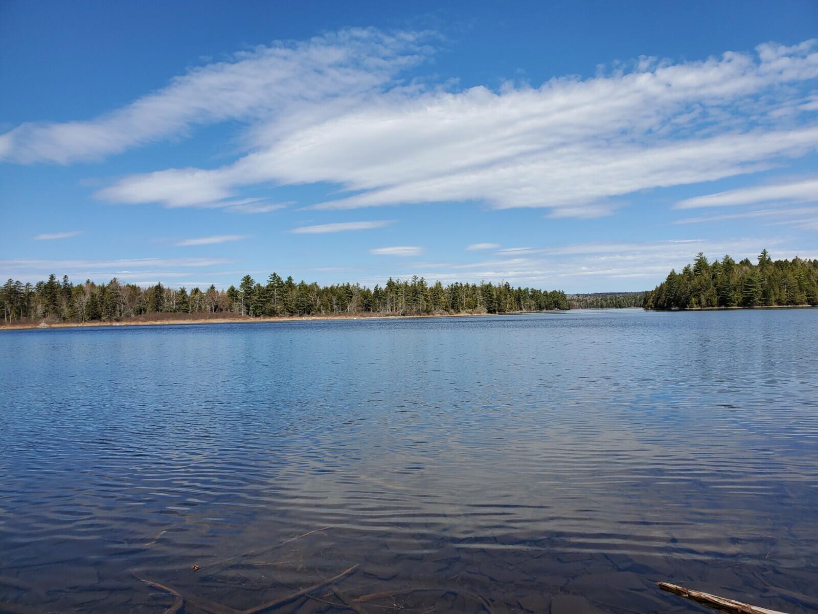 1.3 Ac Off Barrows Lake Road Property Photo 1