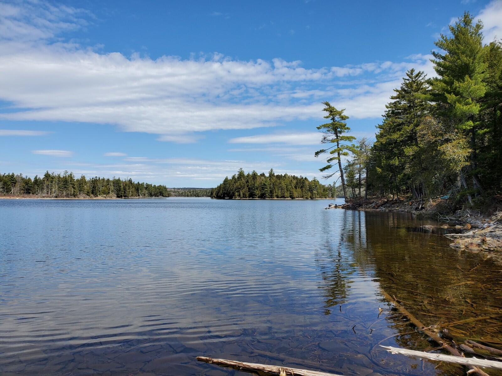 1.3 Ac Off Barrows Lake Road Property Photo 2