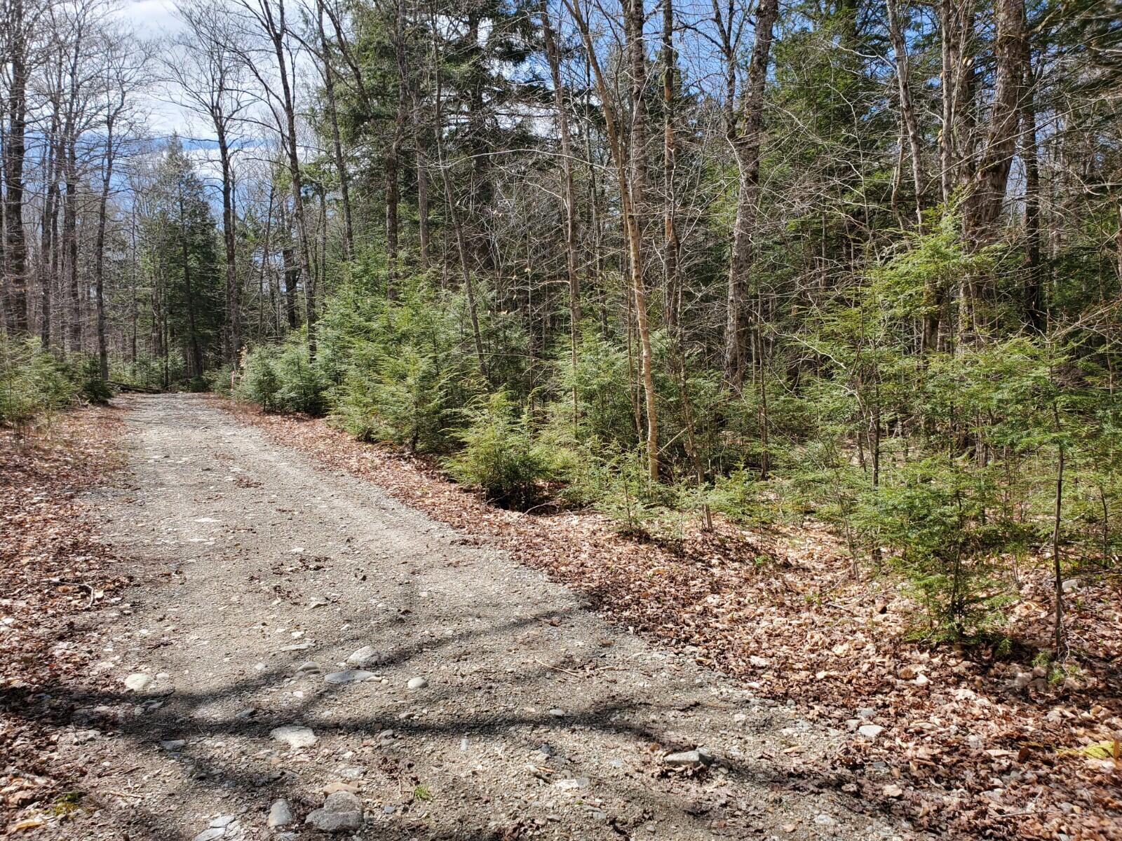 1.3 Ac Off Barrows Lake Road Property Photo 3