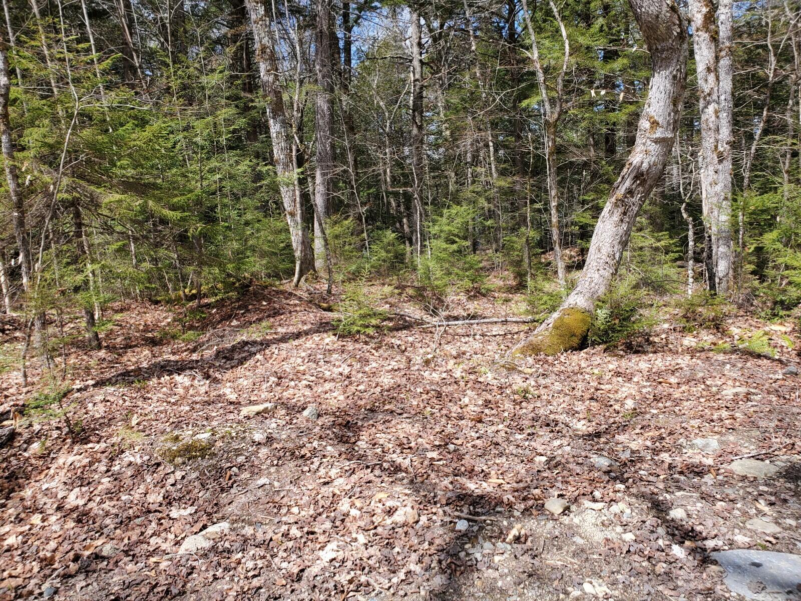 1.3 Ac Off Barrows Lake Road Property Photo 4