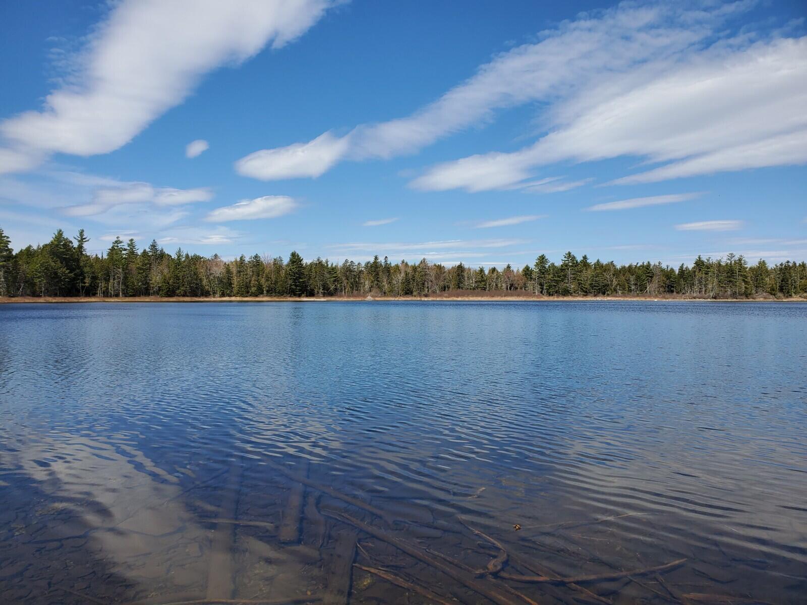 1.3 Ac Off Barrows Lake Road Property Photo 7