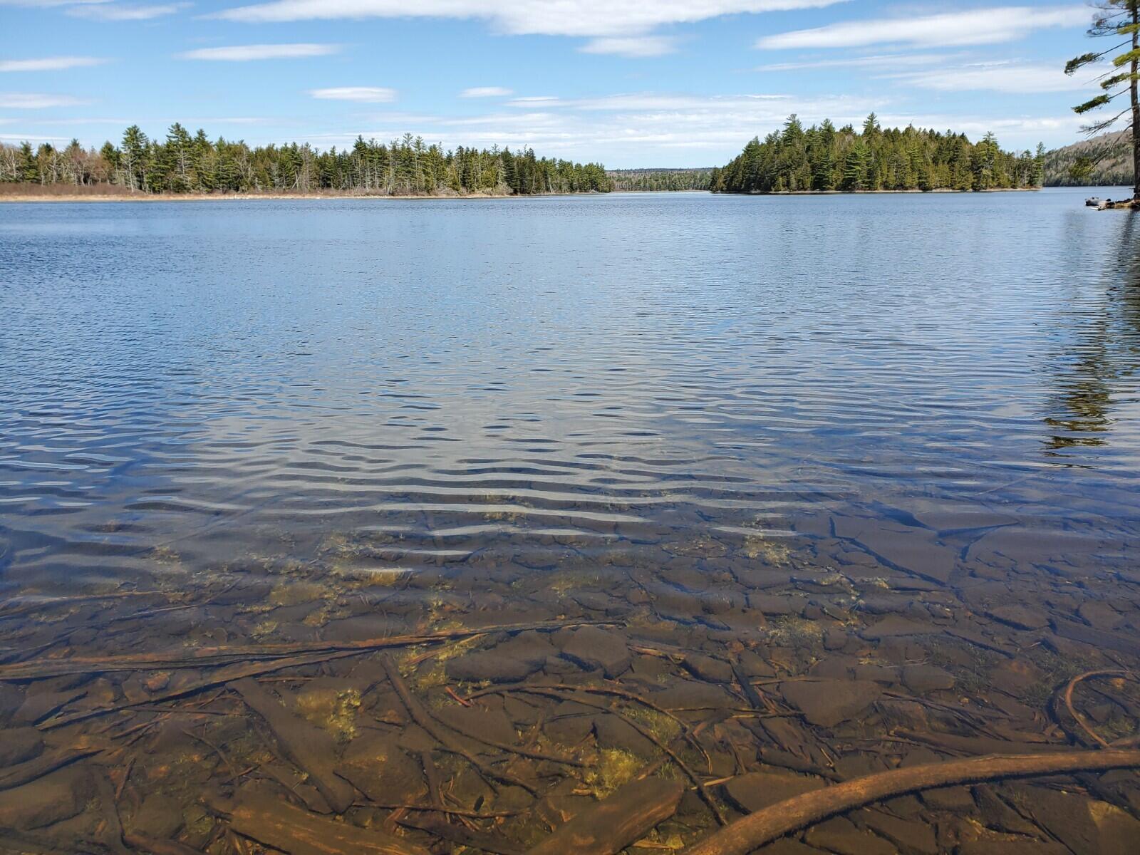1.3 Ac Off Barrows Lake Road Property Photo 8