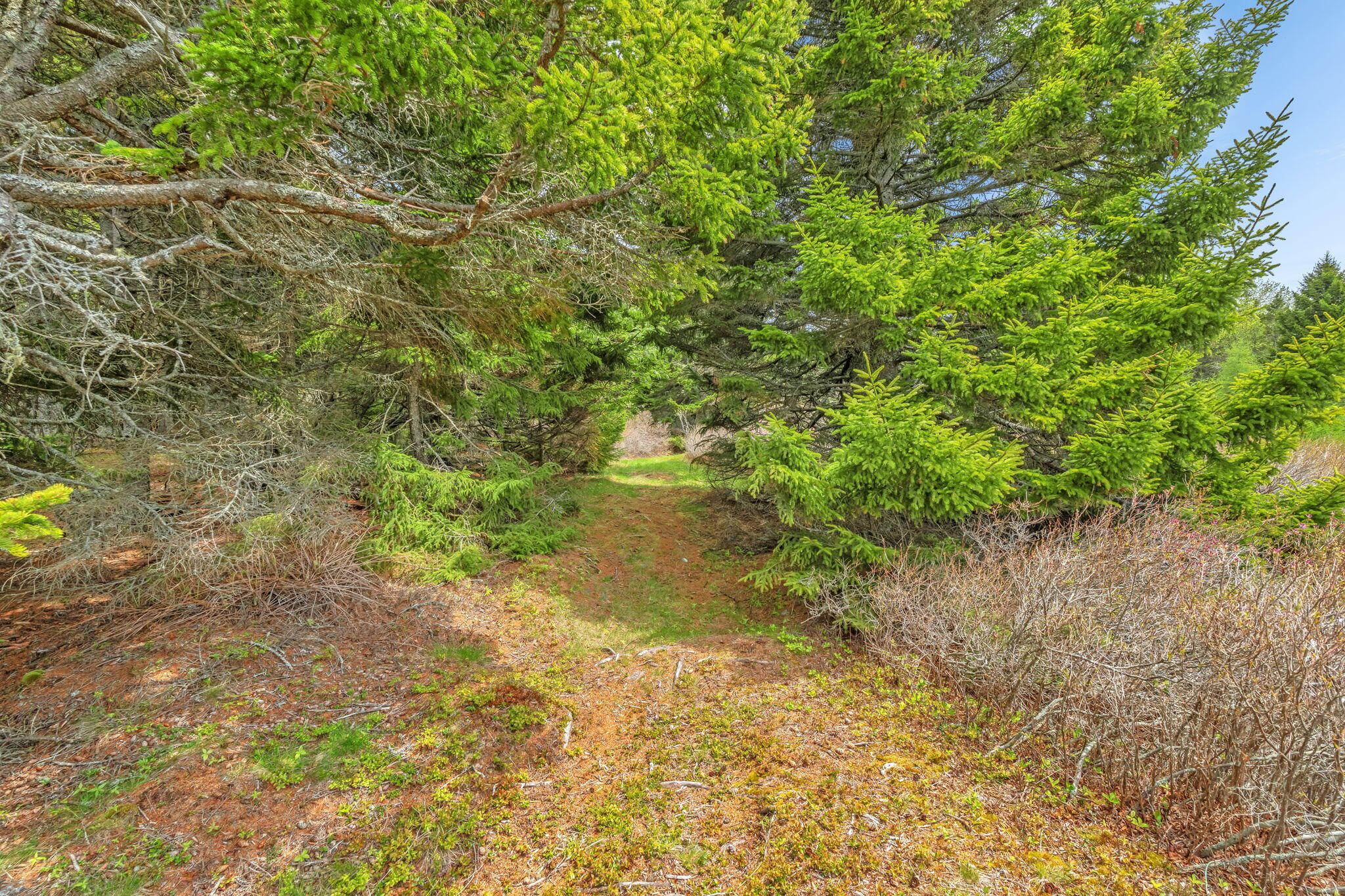 0 Pomp Island Property Photo 49