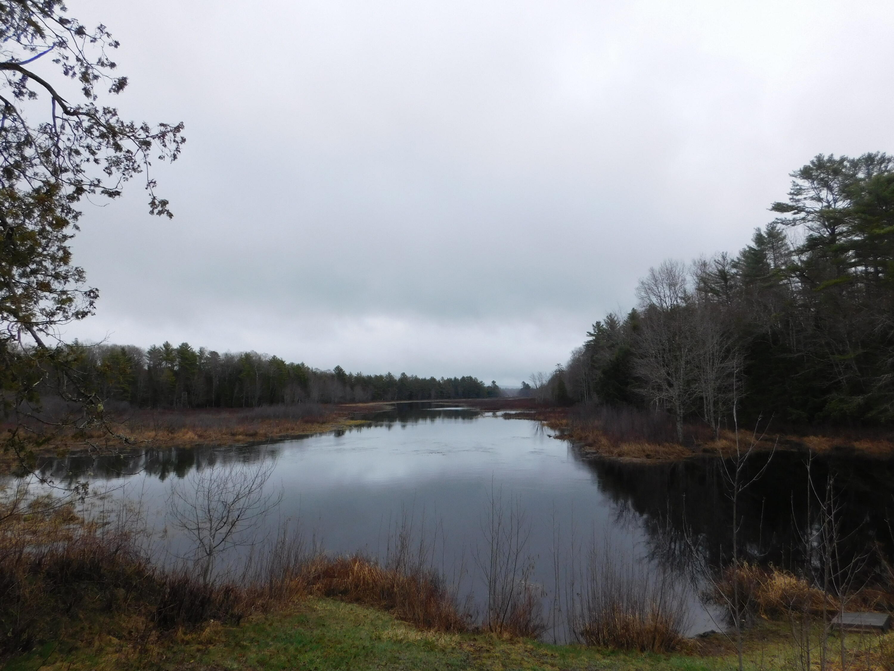 Lot # 4 Spring Bridge Road Property Photo 3
