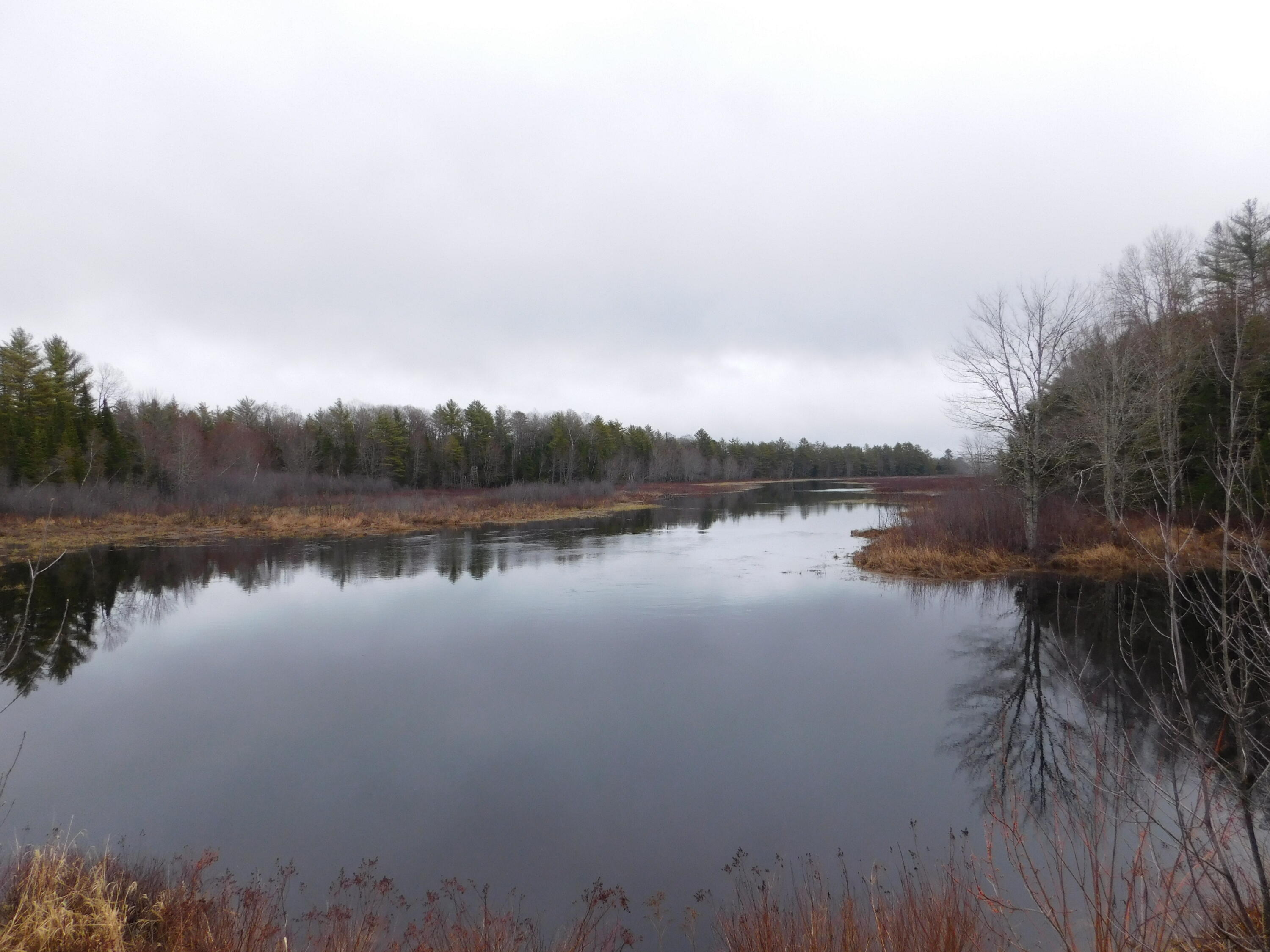 Lot # 4 Spring Bridge Road Property Photo 4