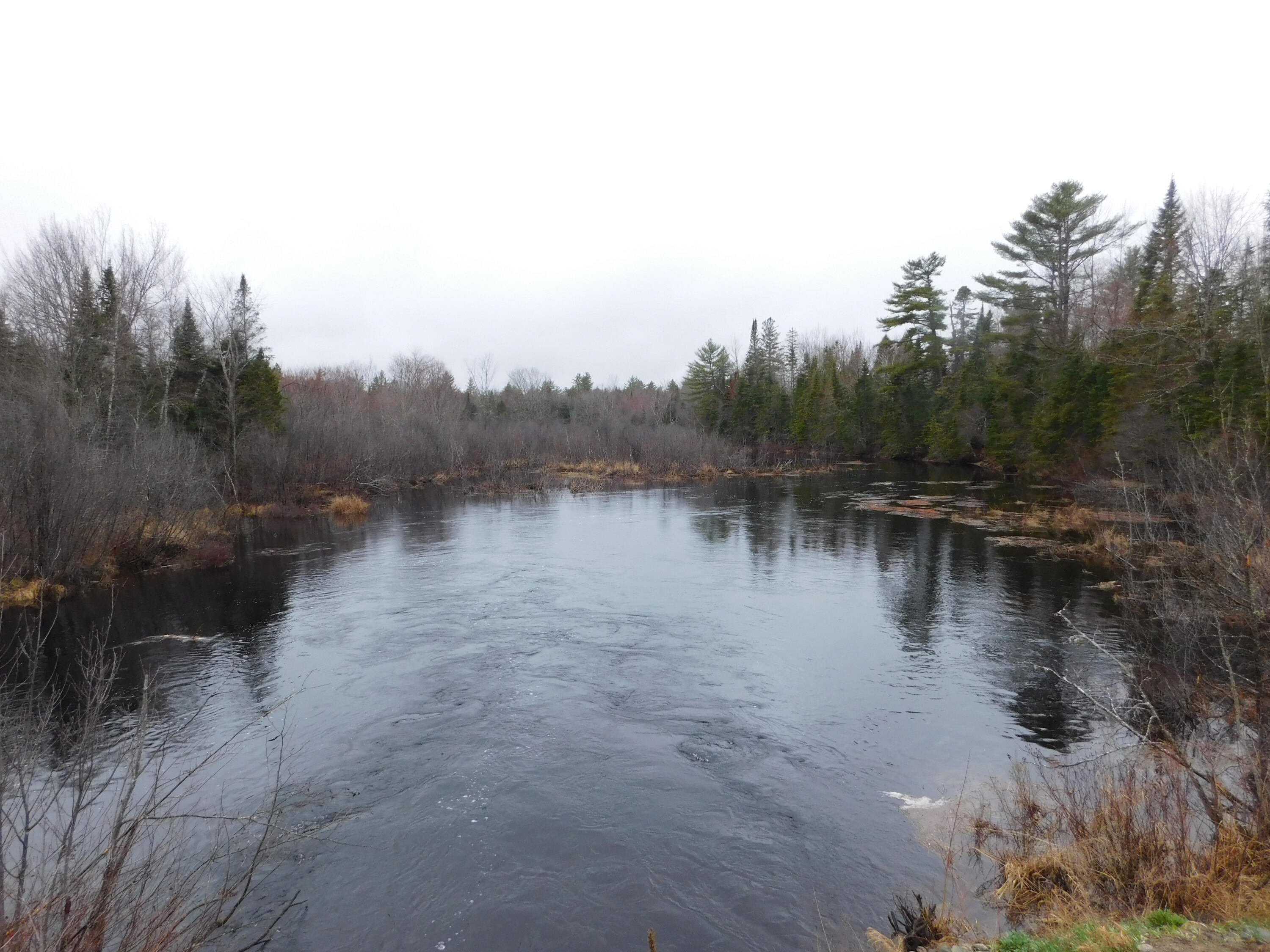 Lot # 4 Spring Bridge Road Property Photo 6