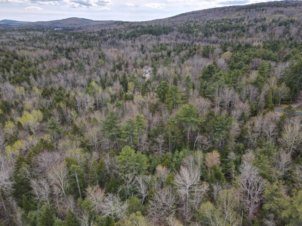 M004-l009e E Bucksport Road Property Photo 6