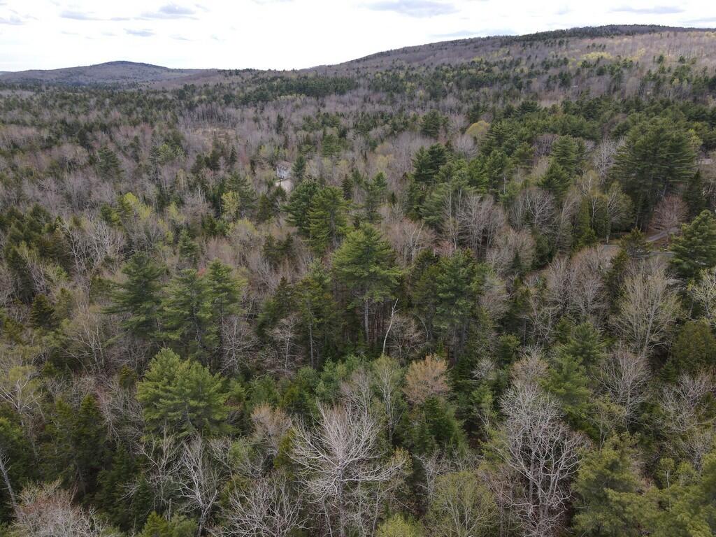 M004-l009e E Bucksport Road Property Photo 8
