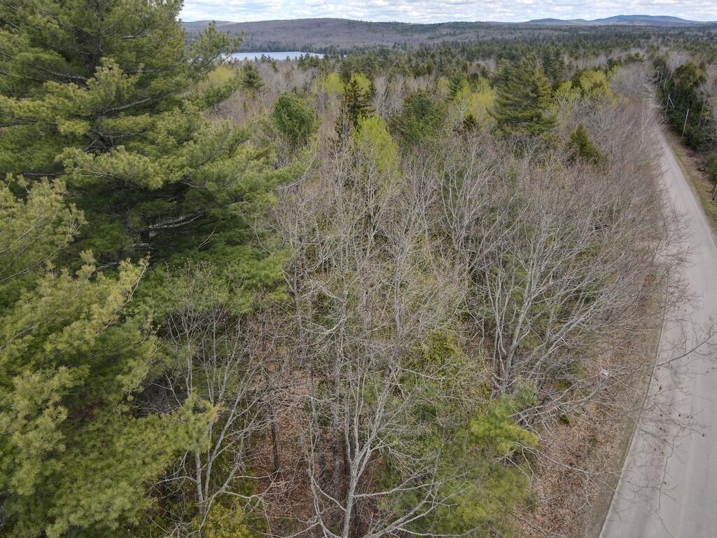 M004-l009e E Bucksport Road Property Photo 9