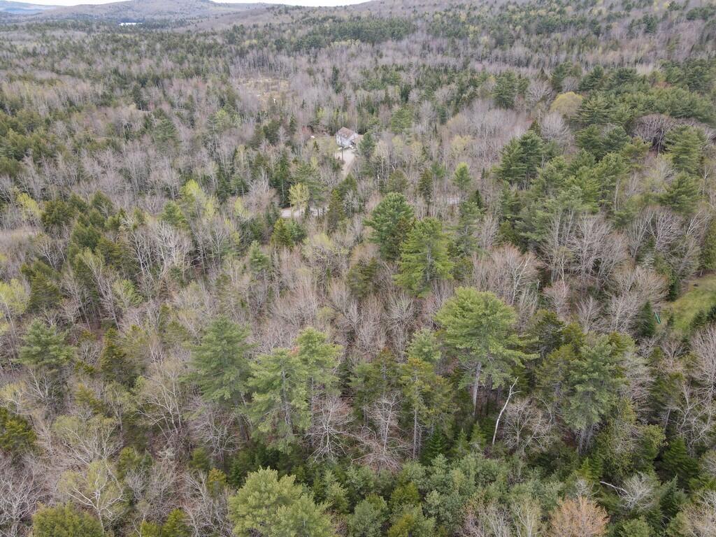 M004-l009e E Bucksport Road Property Photo 12