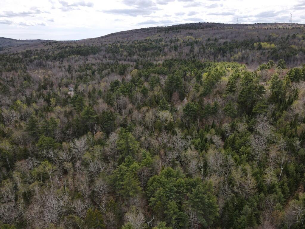M004-l009e E Bucksport Road Property Photo 17