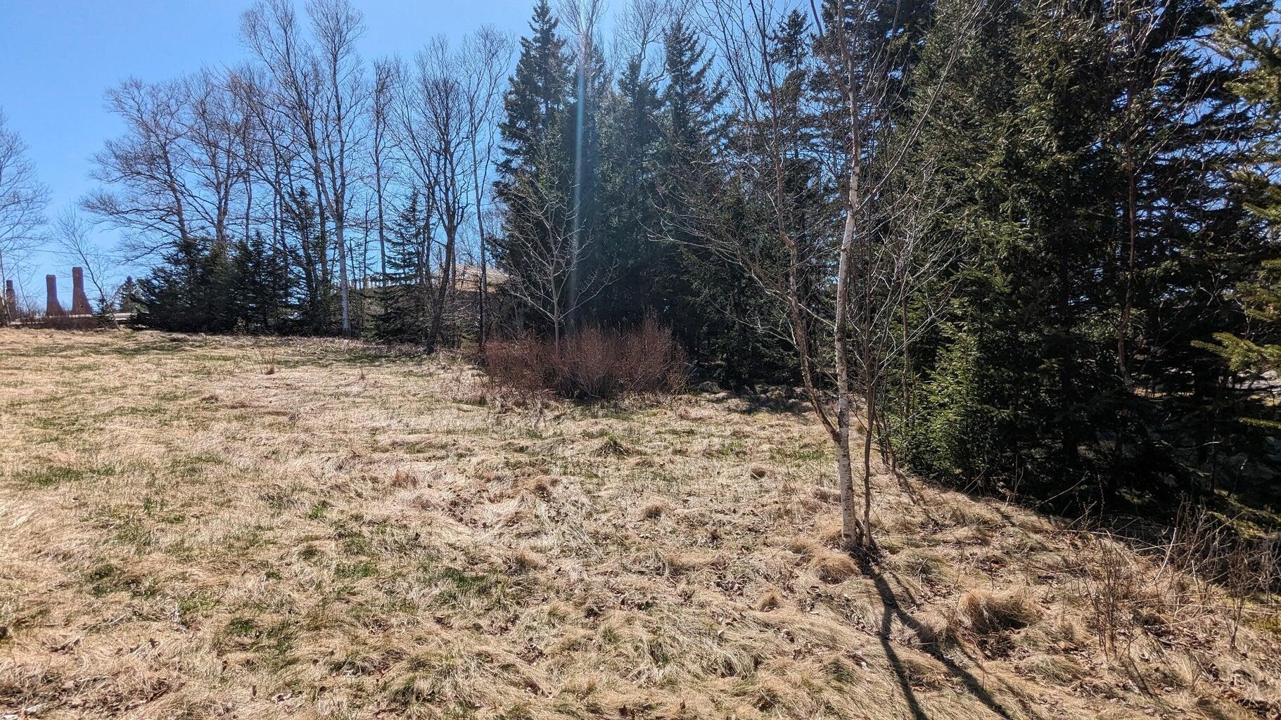 M3 Ba2 L11 Janney Street Property Photo 2