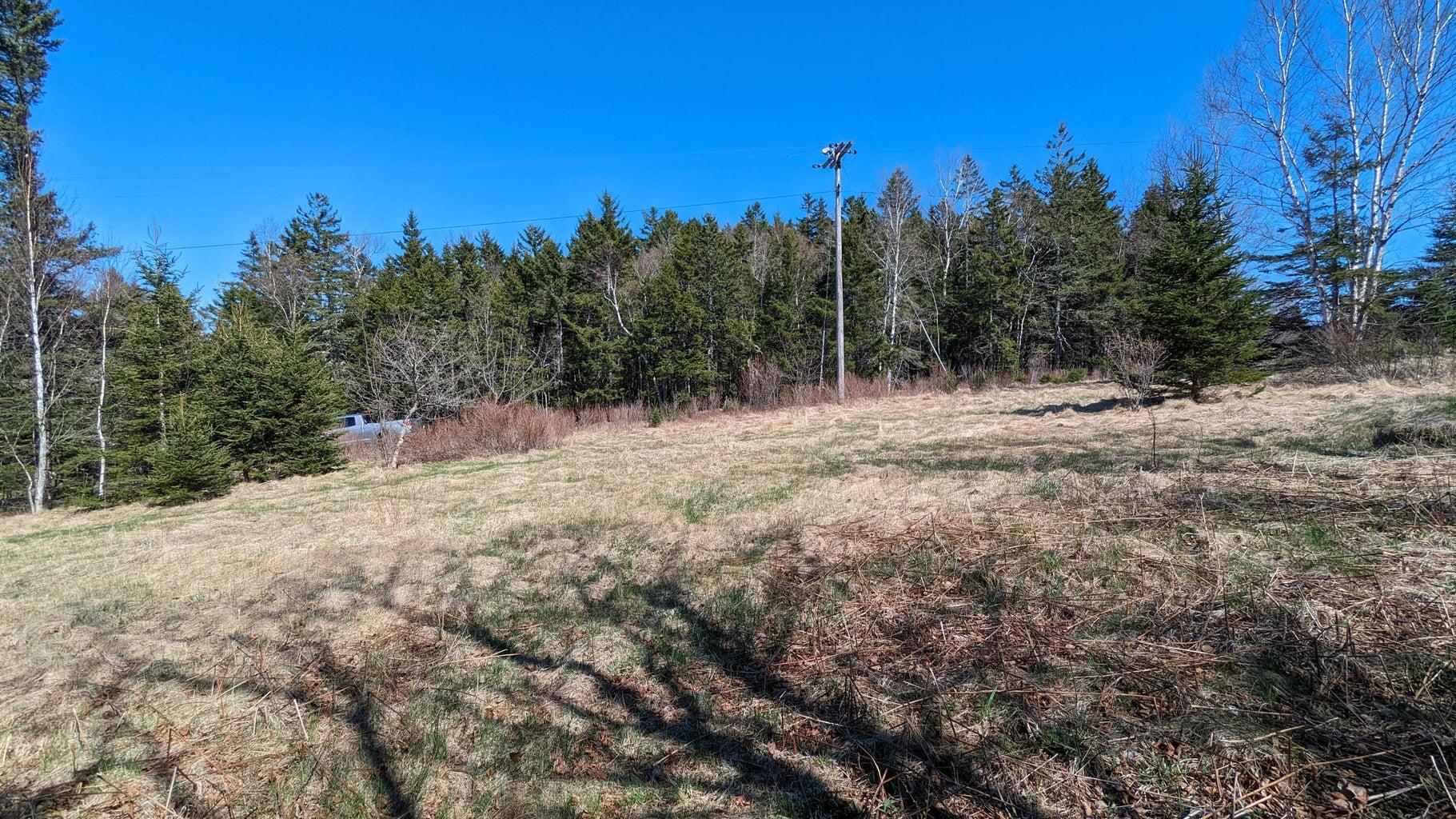 M3 Ba2 L11 Janney Street Property Photo 5