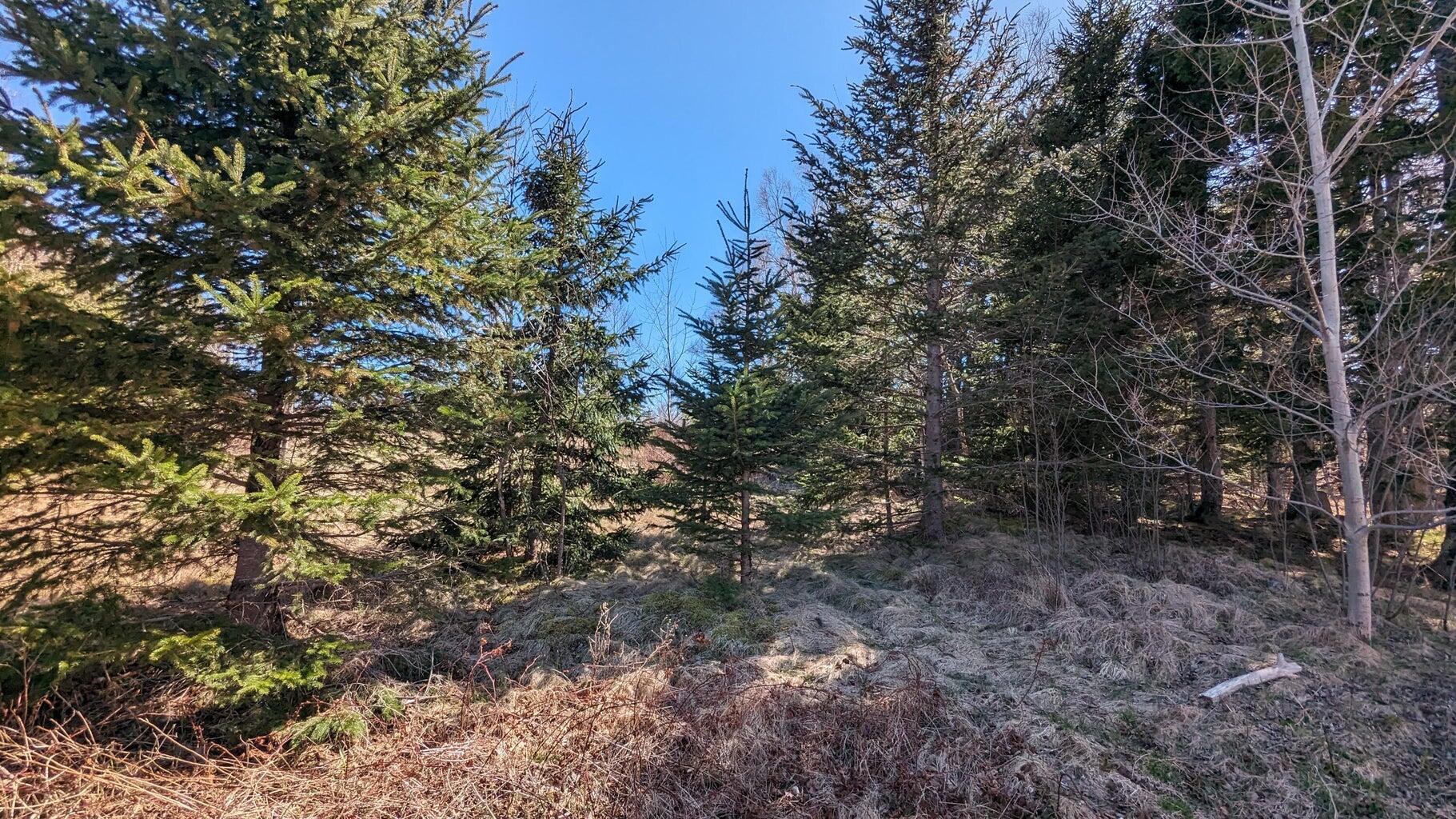 M3 Ba2 L11 Janney Street Property Photo 6