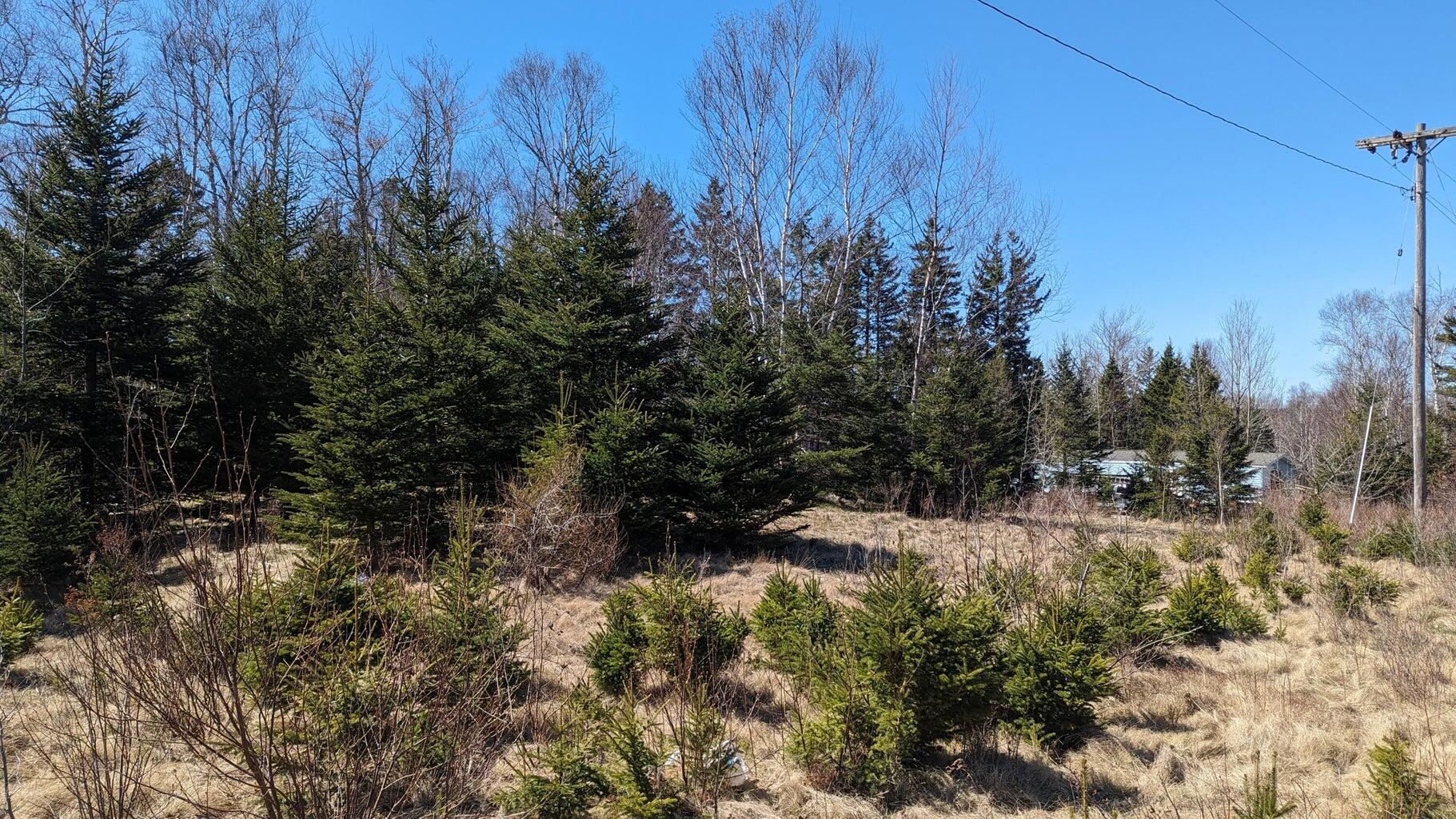 M3 Ba2 L7 Deeks Street Property Photo 6