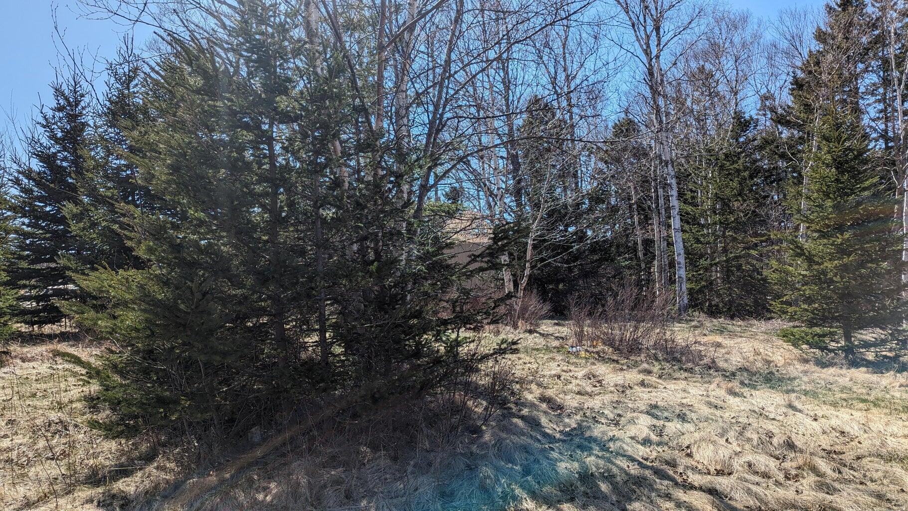 M3 Ba2 L7 Deeks Street Property Photo 7