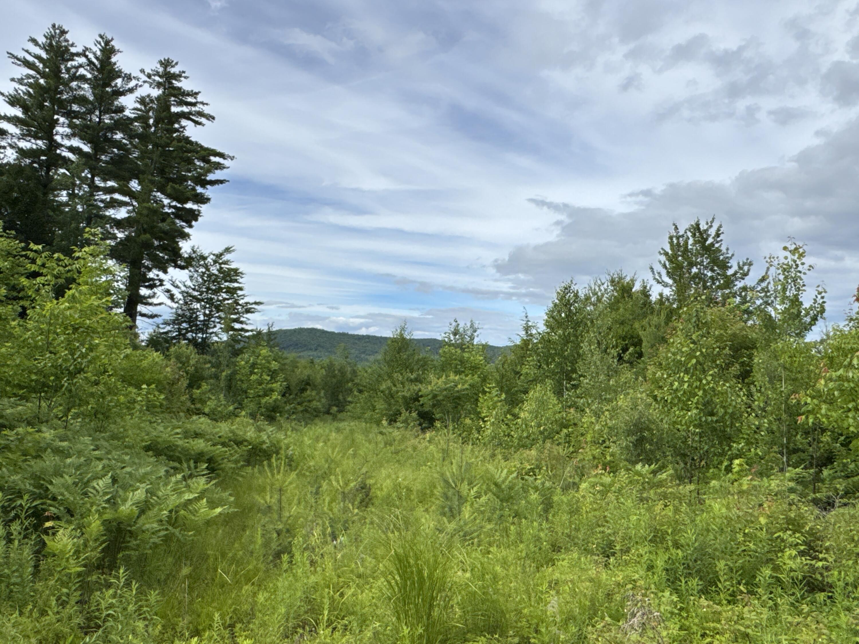 L52 Bridgton Road Property Photo 1