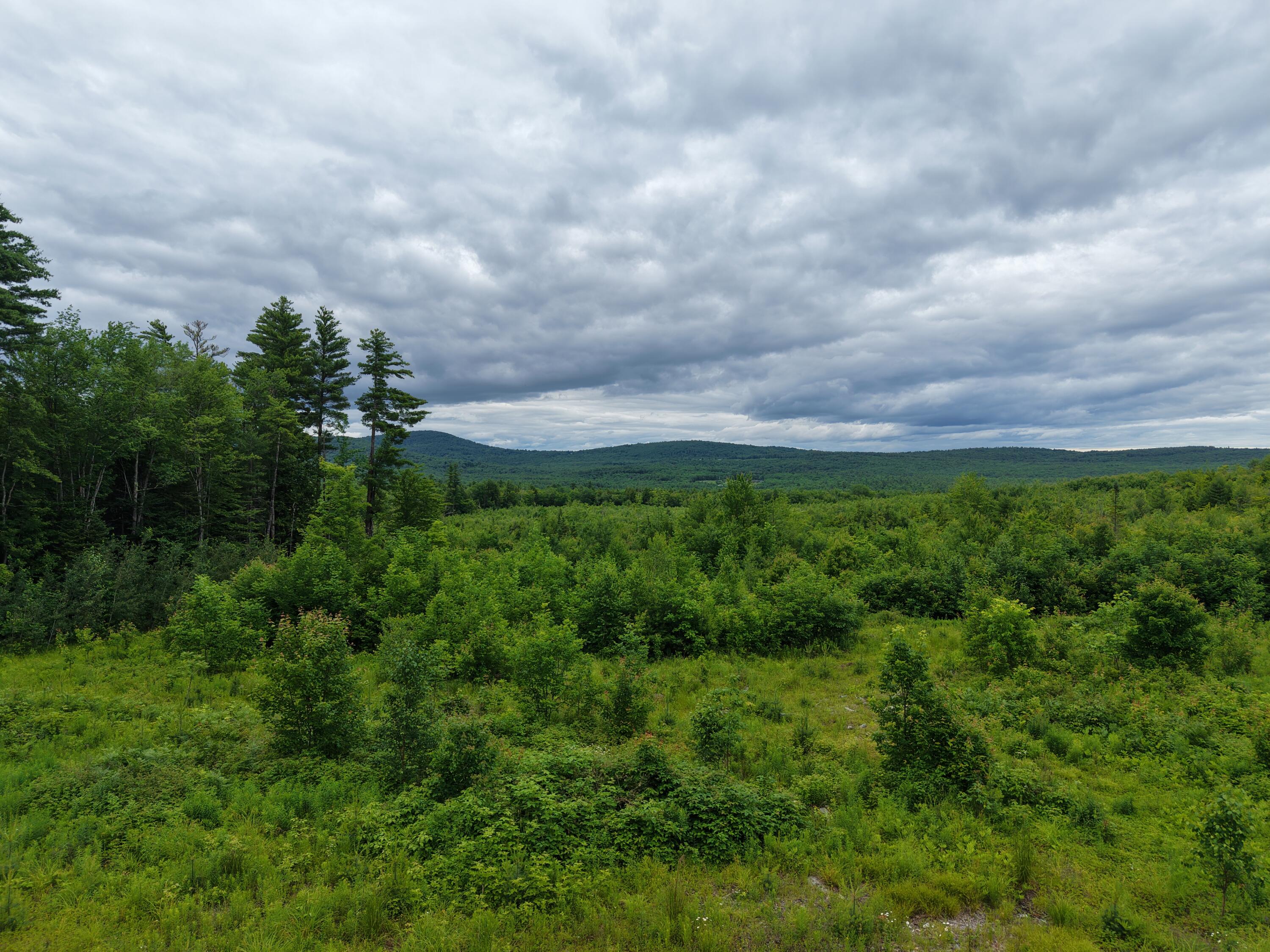 L52 Bridgton Road Property Photo 2