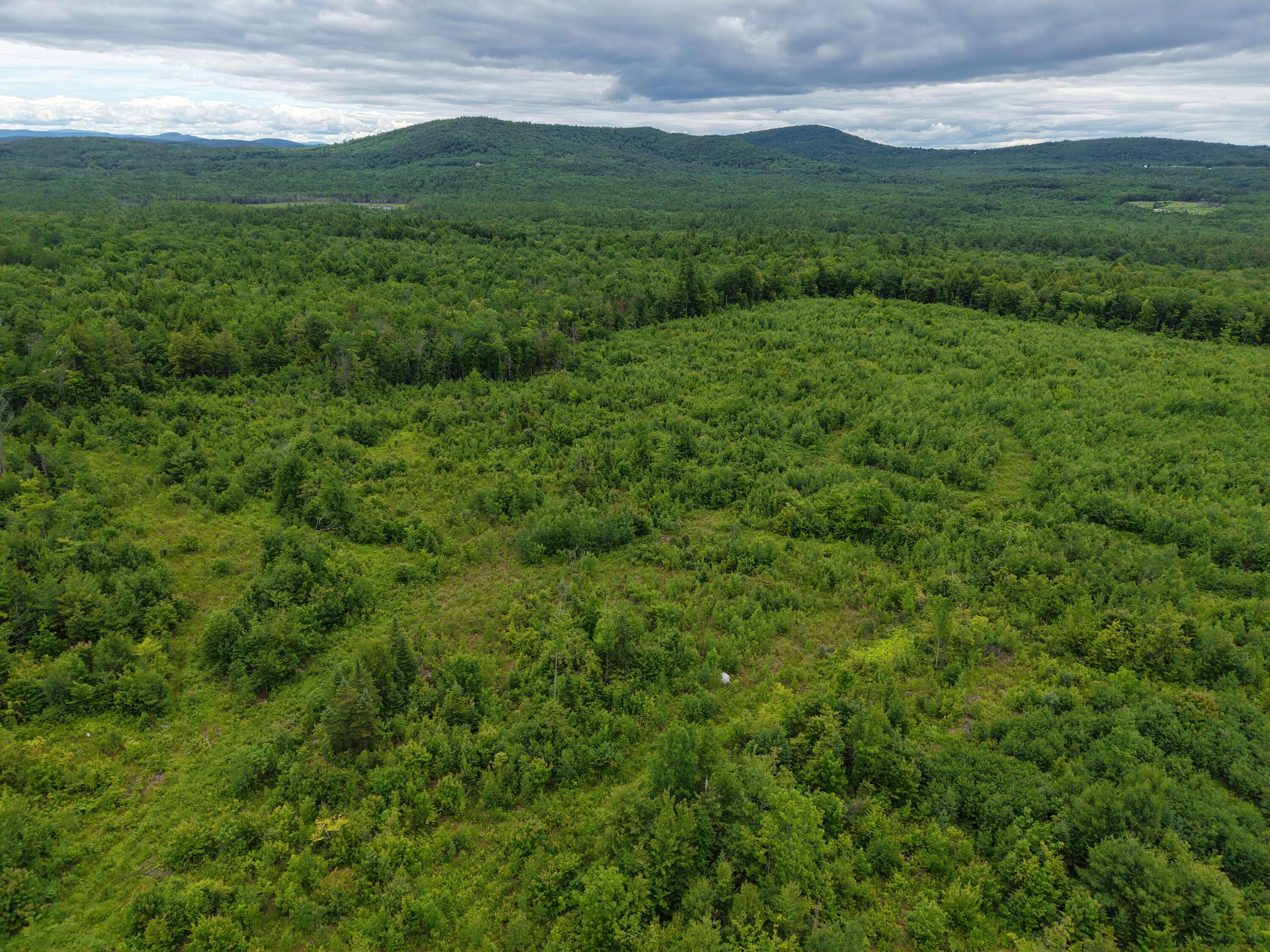 L52 Bridgton Road Property Photo 3