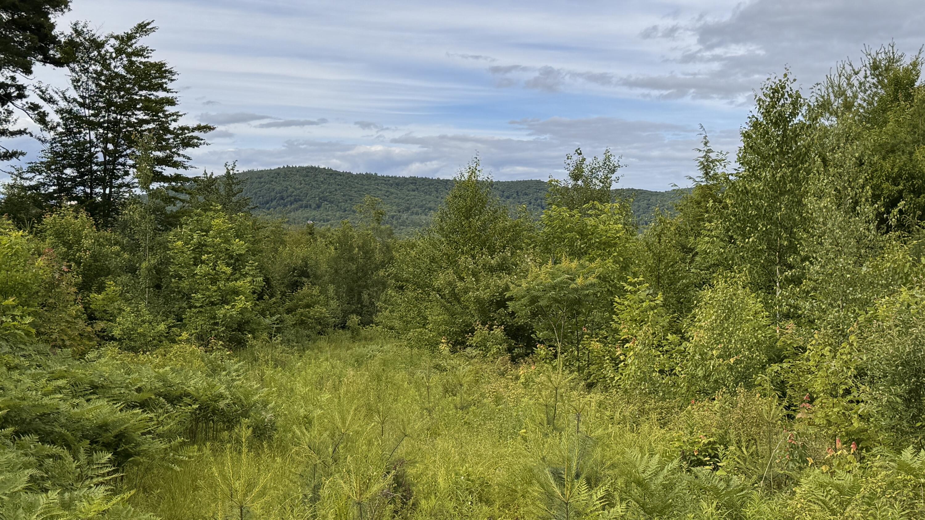 L52 Bridgton Road Property Photo 4