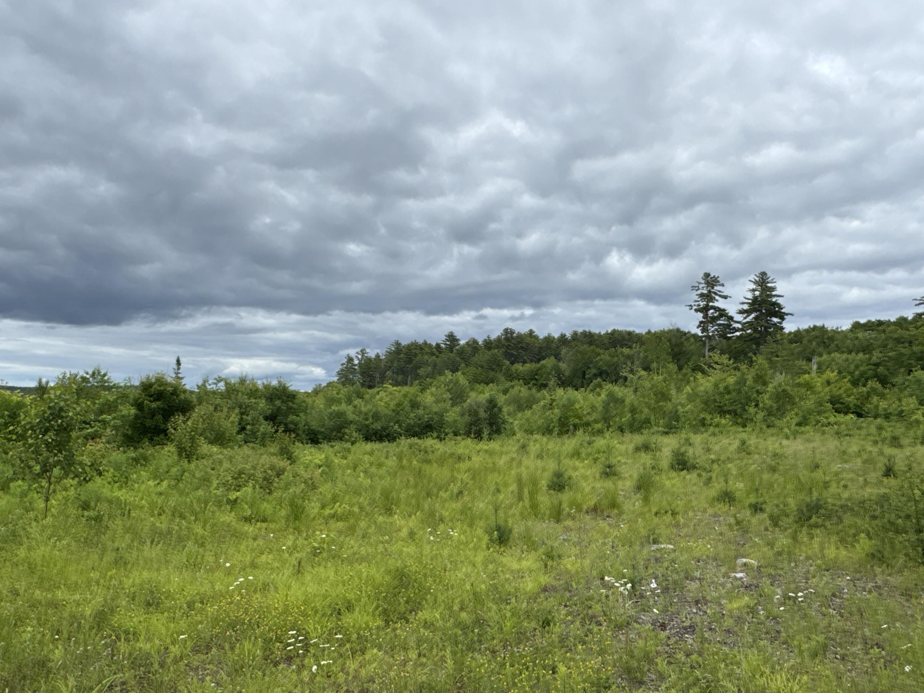 L52 Bridgton Road Property Photo 6
