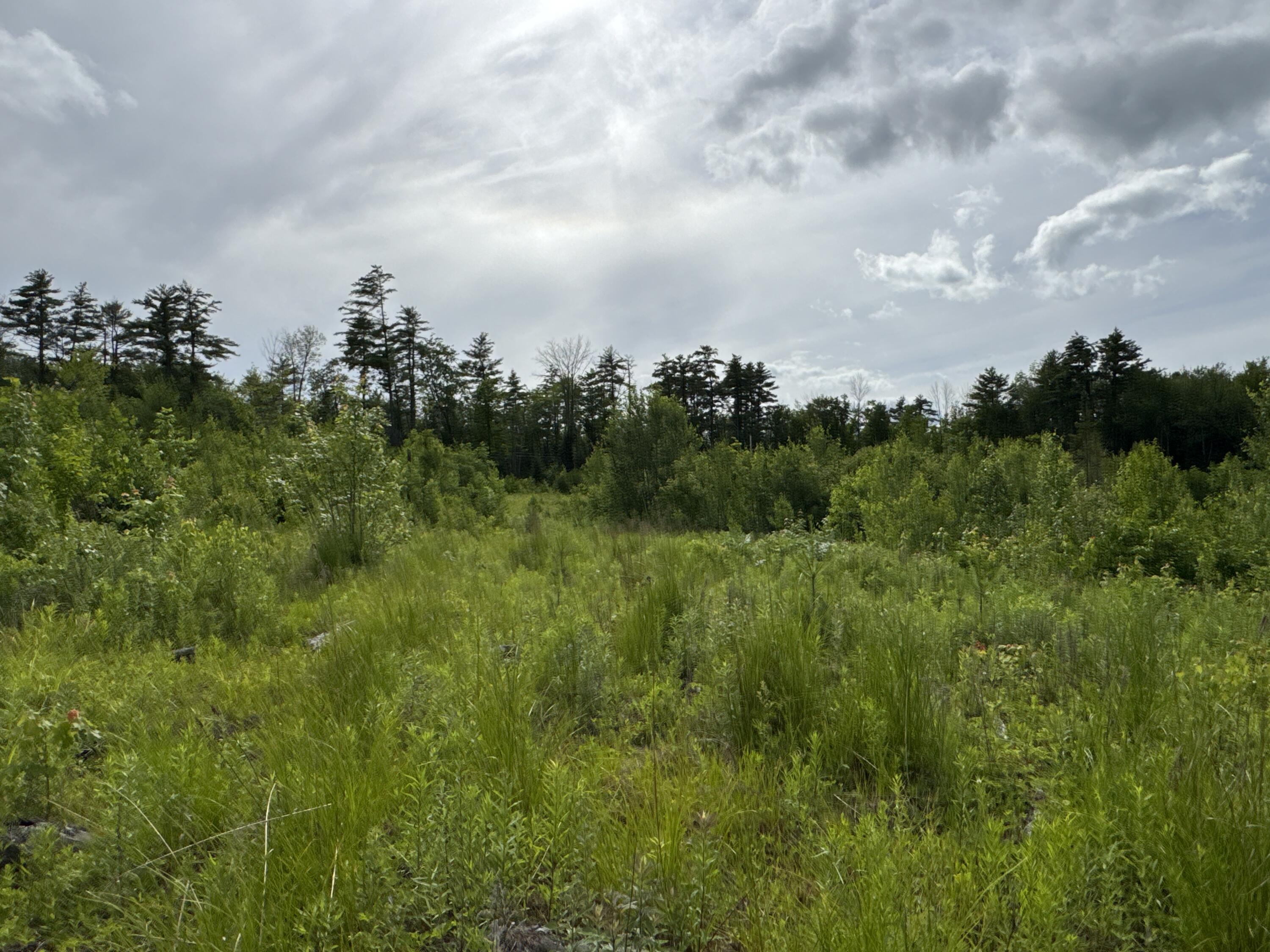 L52 Bridgton Road Property Photo 7