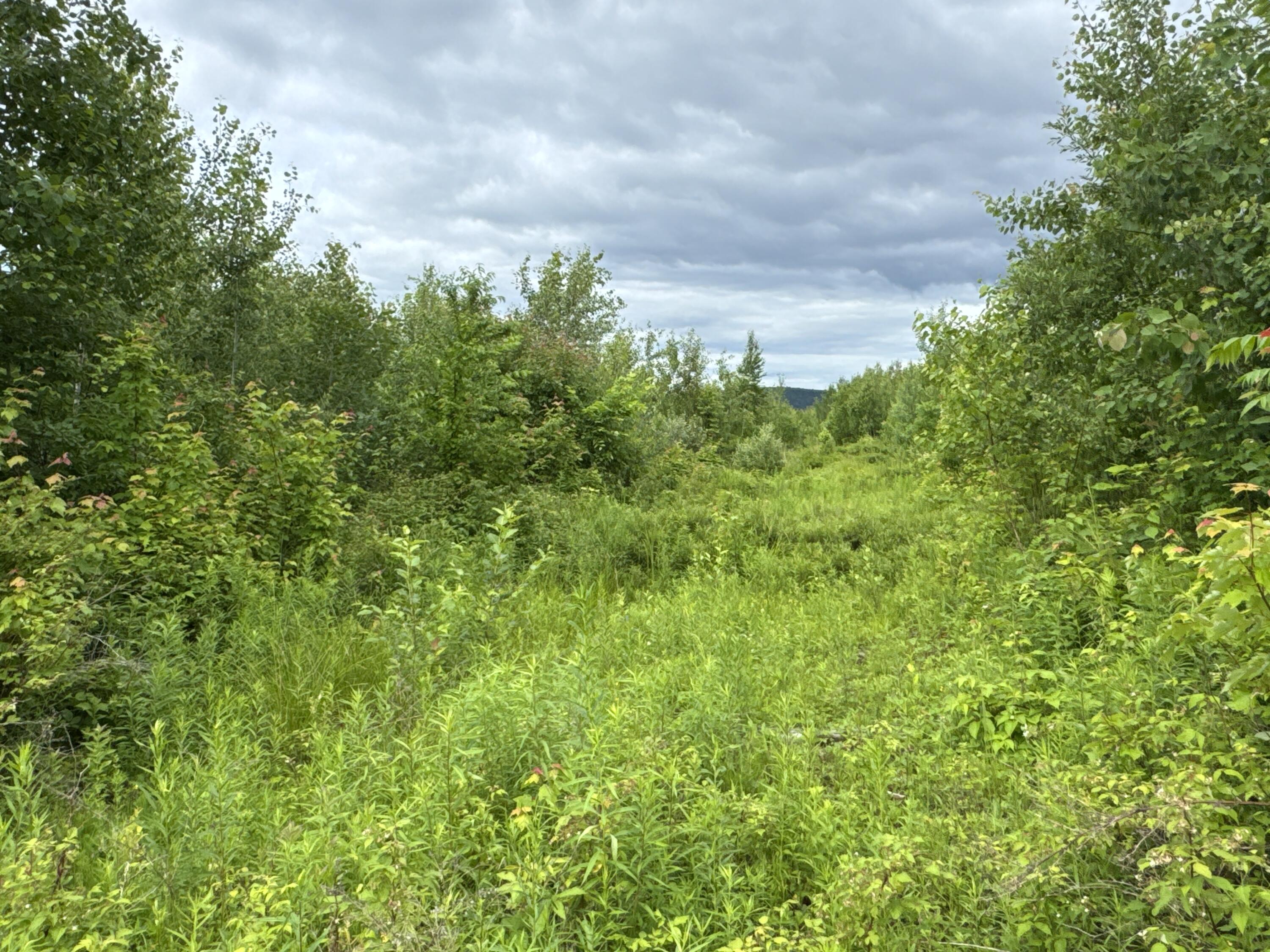 L52 Bridgton Road Property Photo 8
