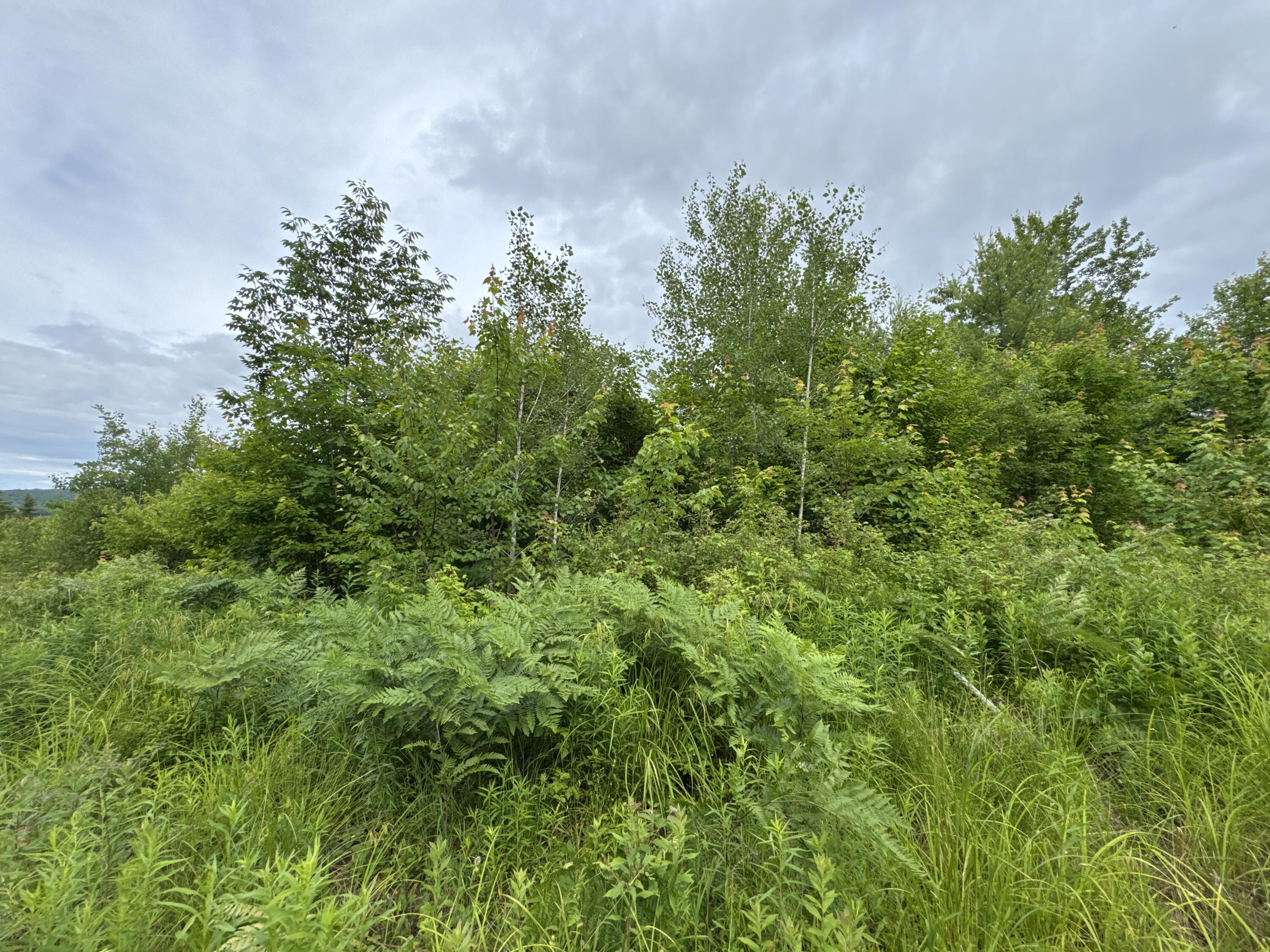L52 Bridgton Road Property Photo 10