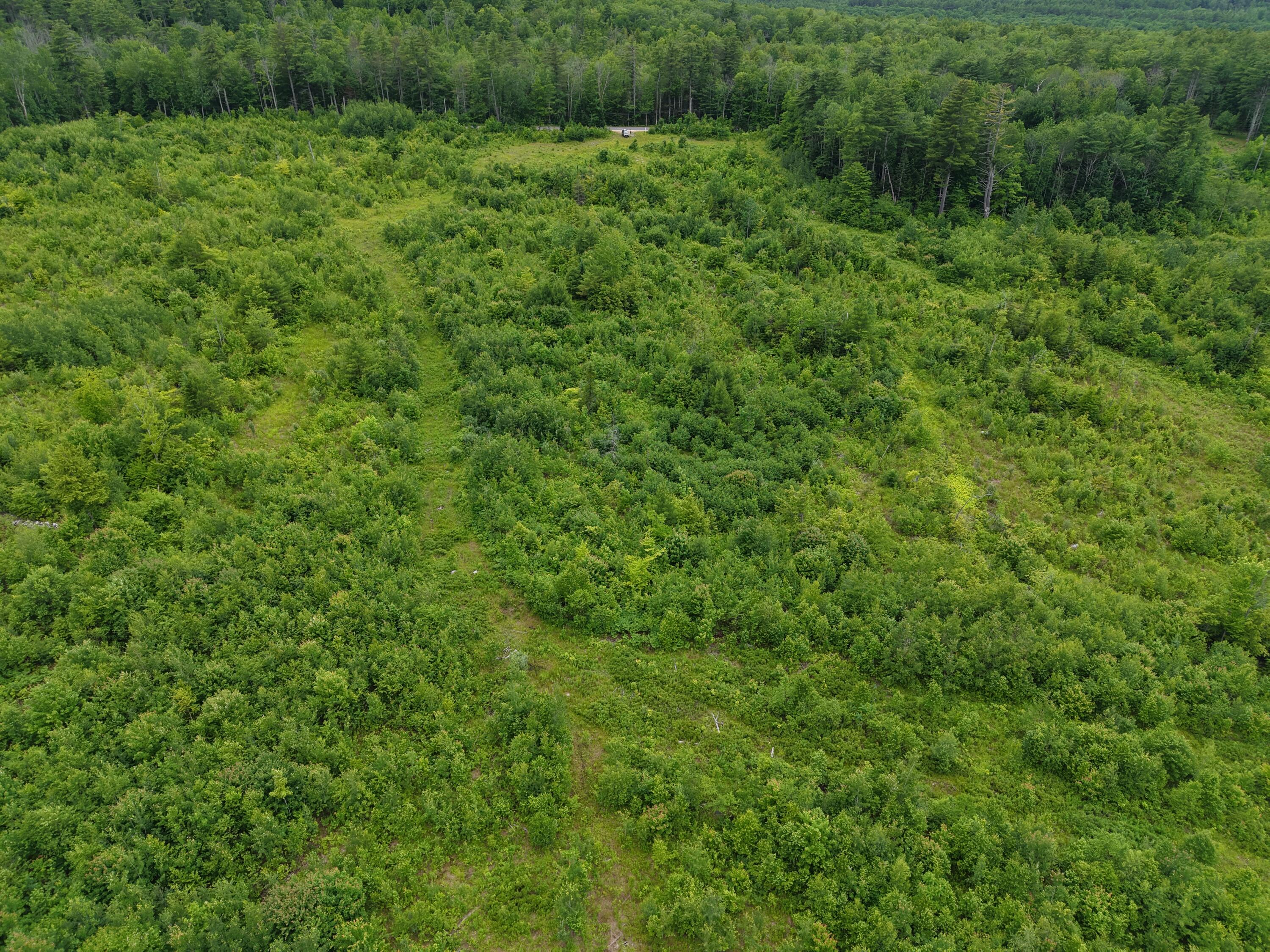 L52 Bridgton Road Property Photo 13