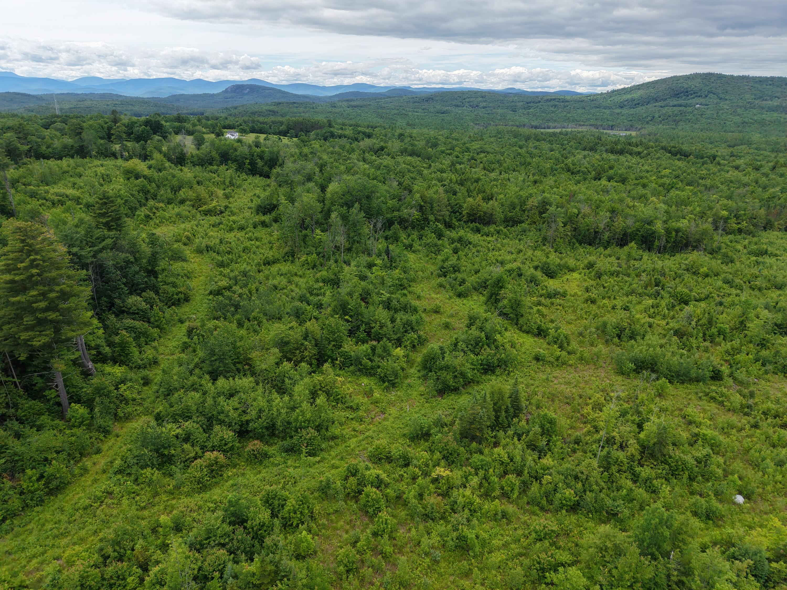 L52 Bridgton Road Property Photo 14