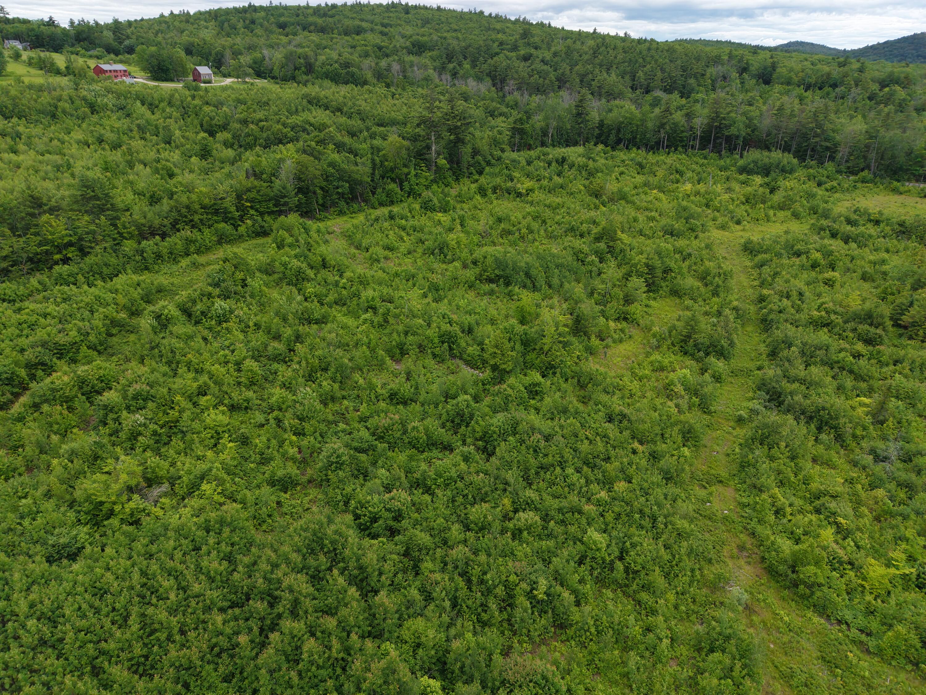 L52 Bridgton Road Property Photo 15