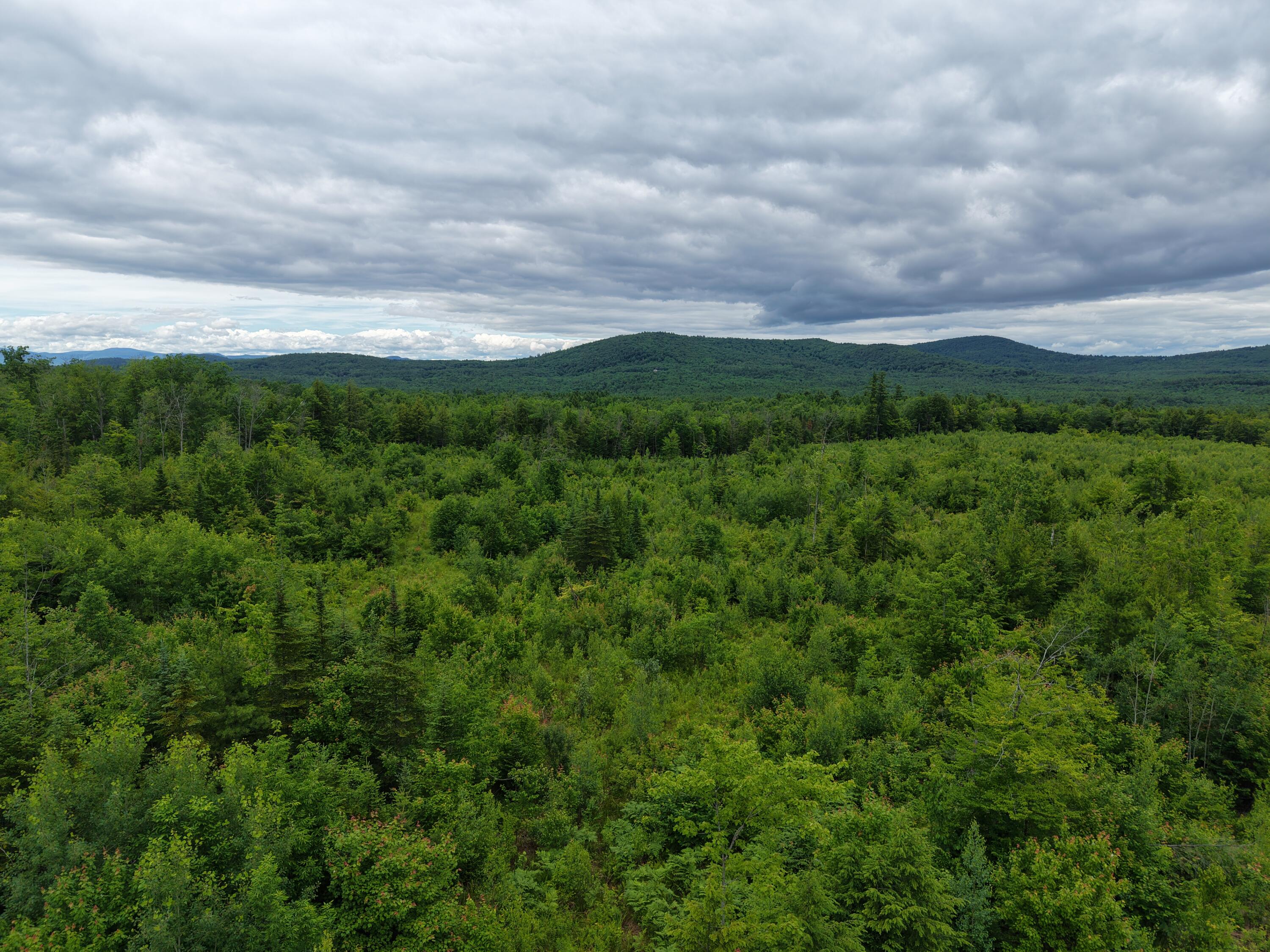 L52 Bridgton Road Property Photo 16