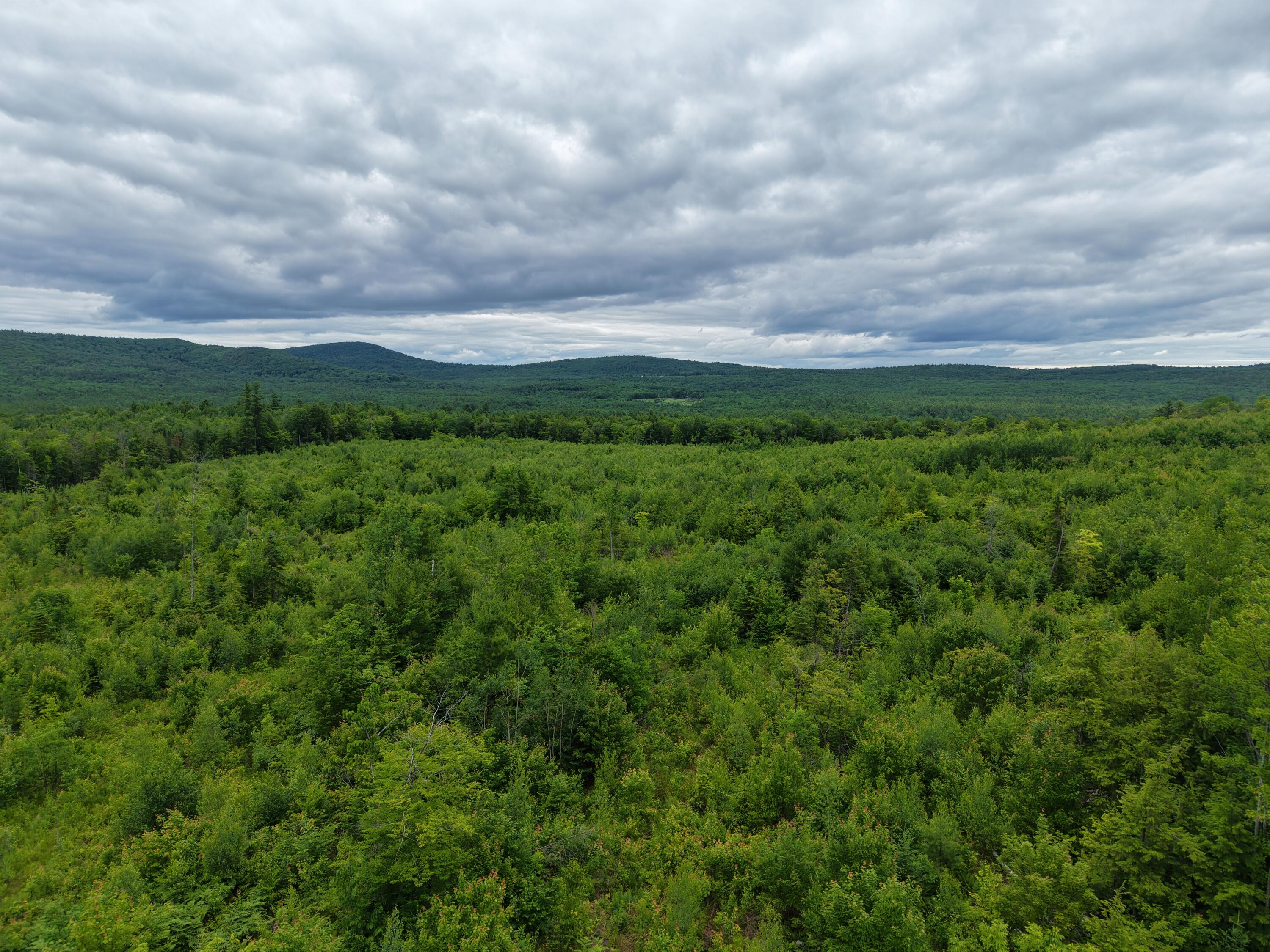 L52 Bridgton Road Property Photo 17