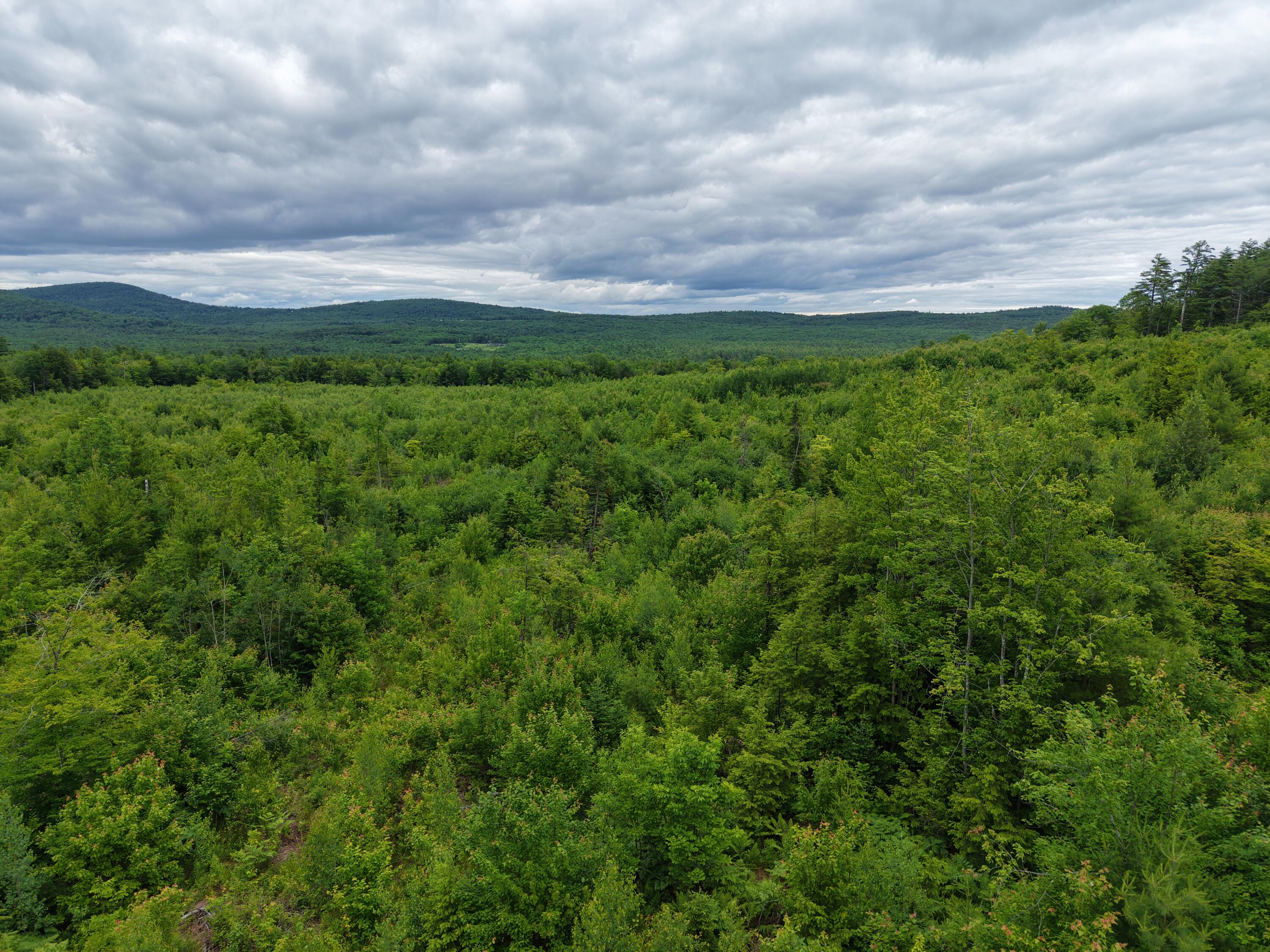 L52 Bridgton Road Property Photo 18